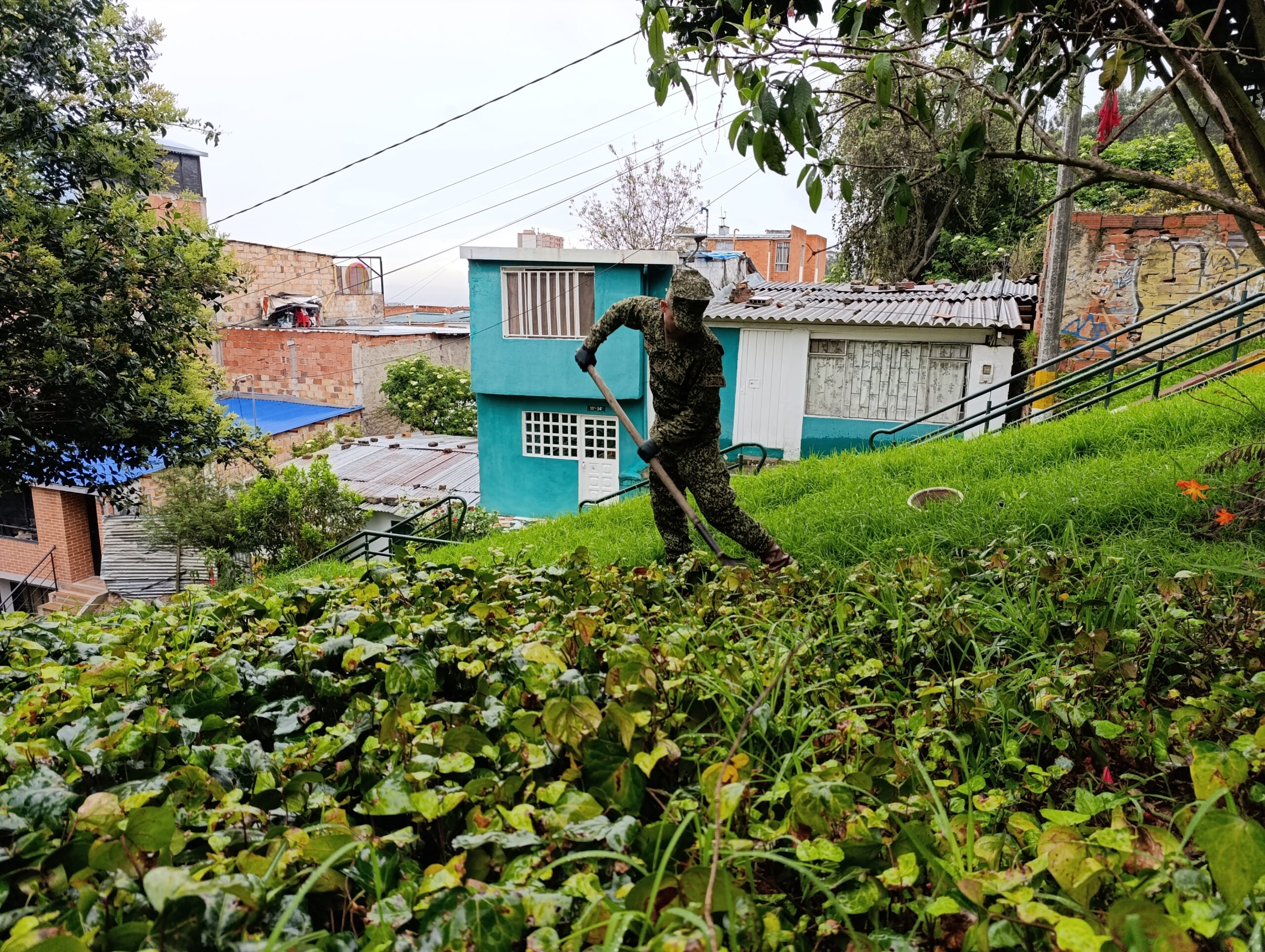 Historias del verde urbano: ¡Soldados de la Infantería de Marina de Colombia se convirtieron en jardineros!