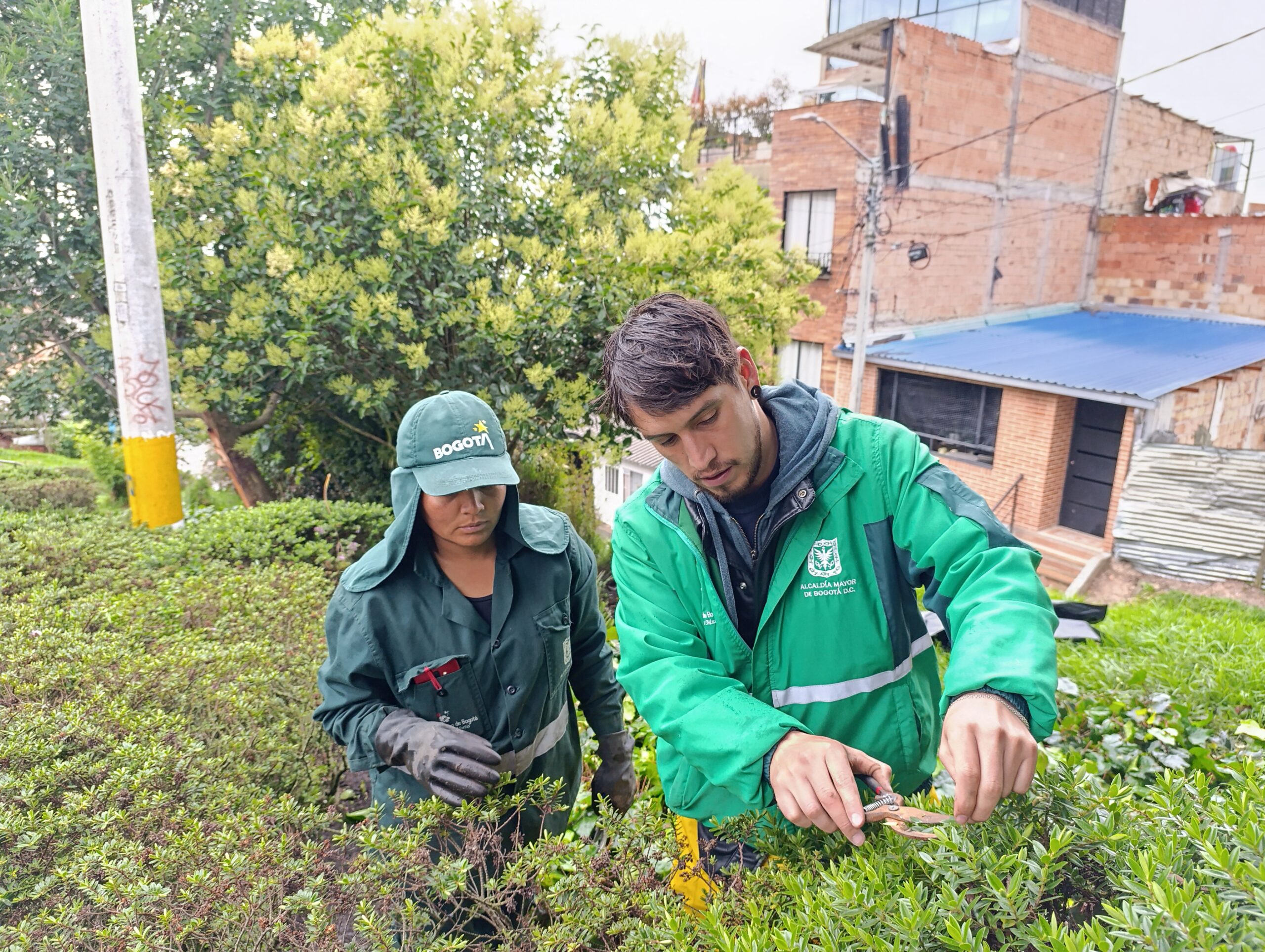 Historias del verde urbano: ¡Soldados de la Infantería de Marina de Colombia se convirtieron en jardineros!