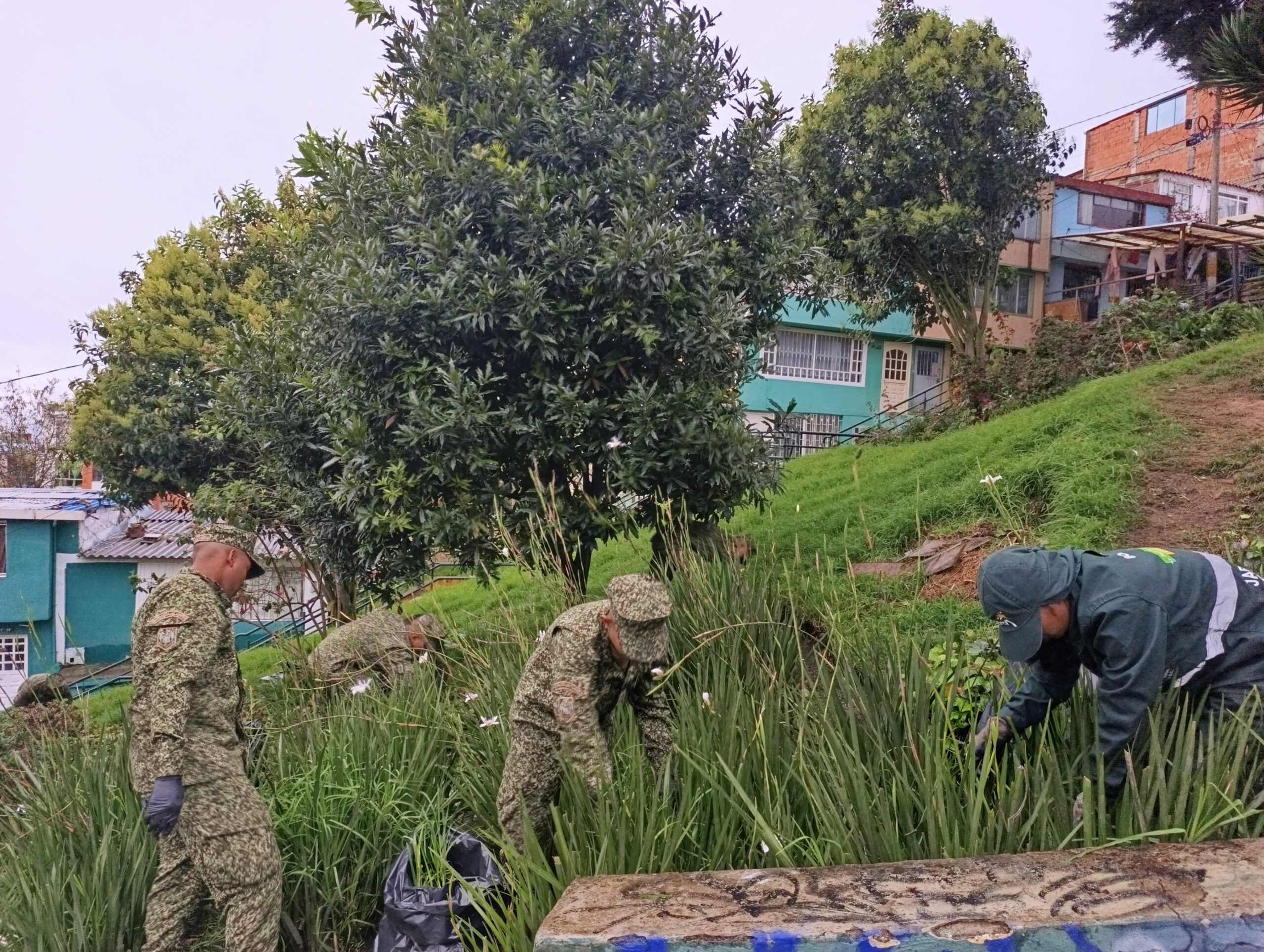 Historias del verde urbano: ¡Soldados de la Infantería de Marina de Colombia se convirtieron en jardineros!
