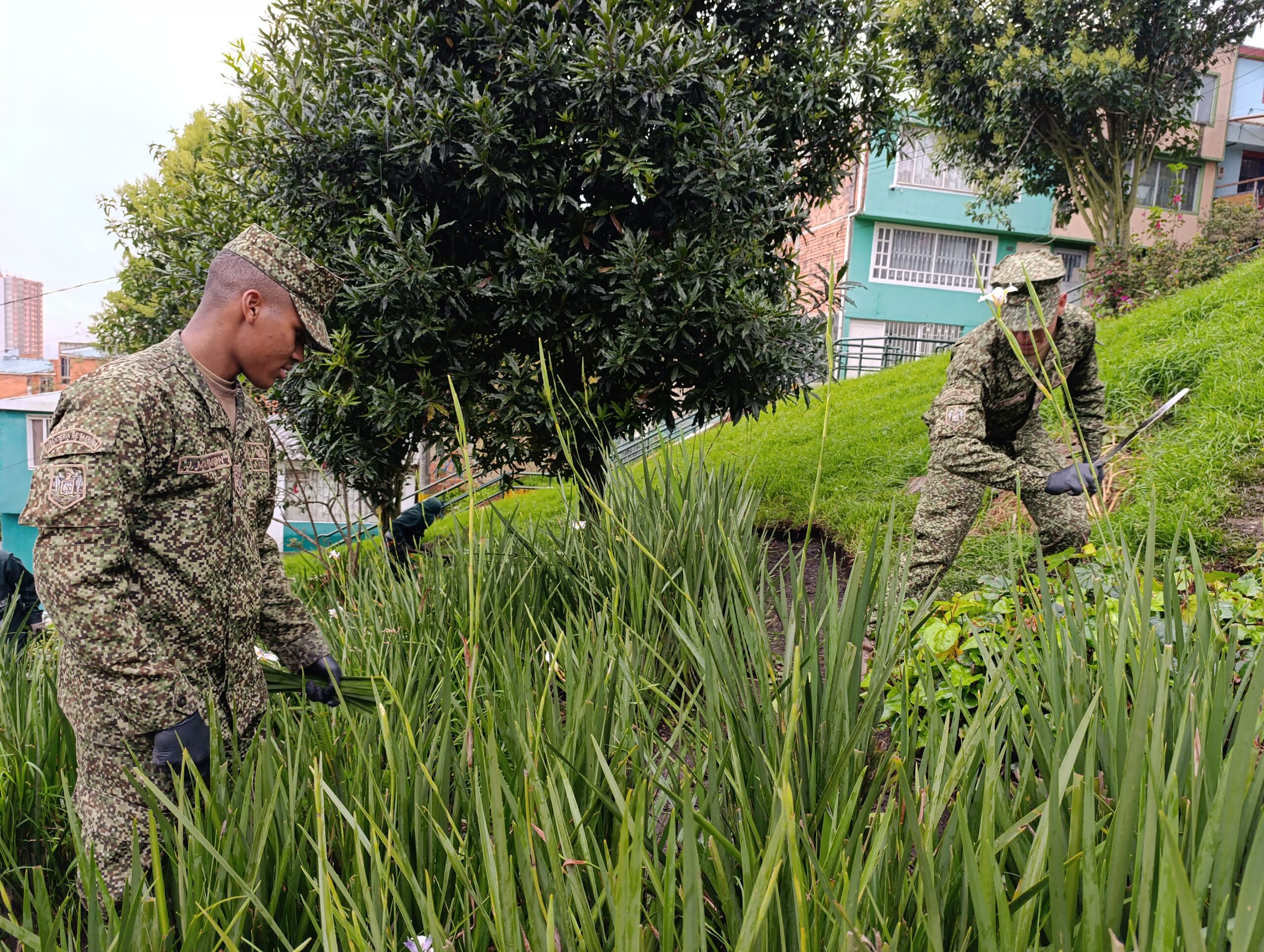 Historias del verde urbano: ¡Soldados de la Infantería de Marina de Colombia se convirtieron en jardineros!