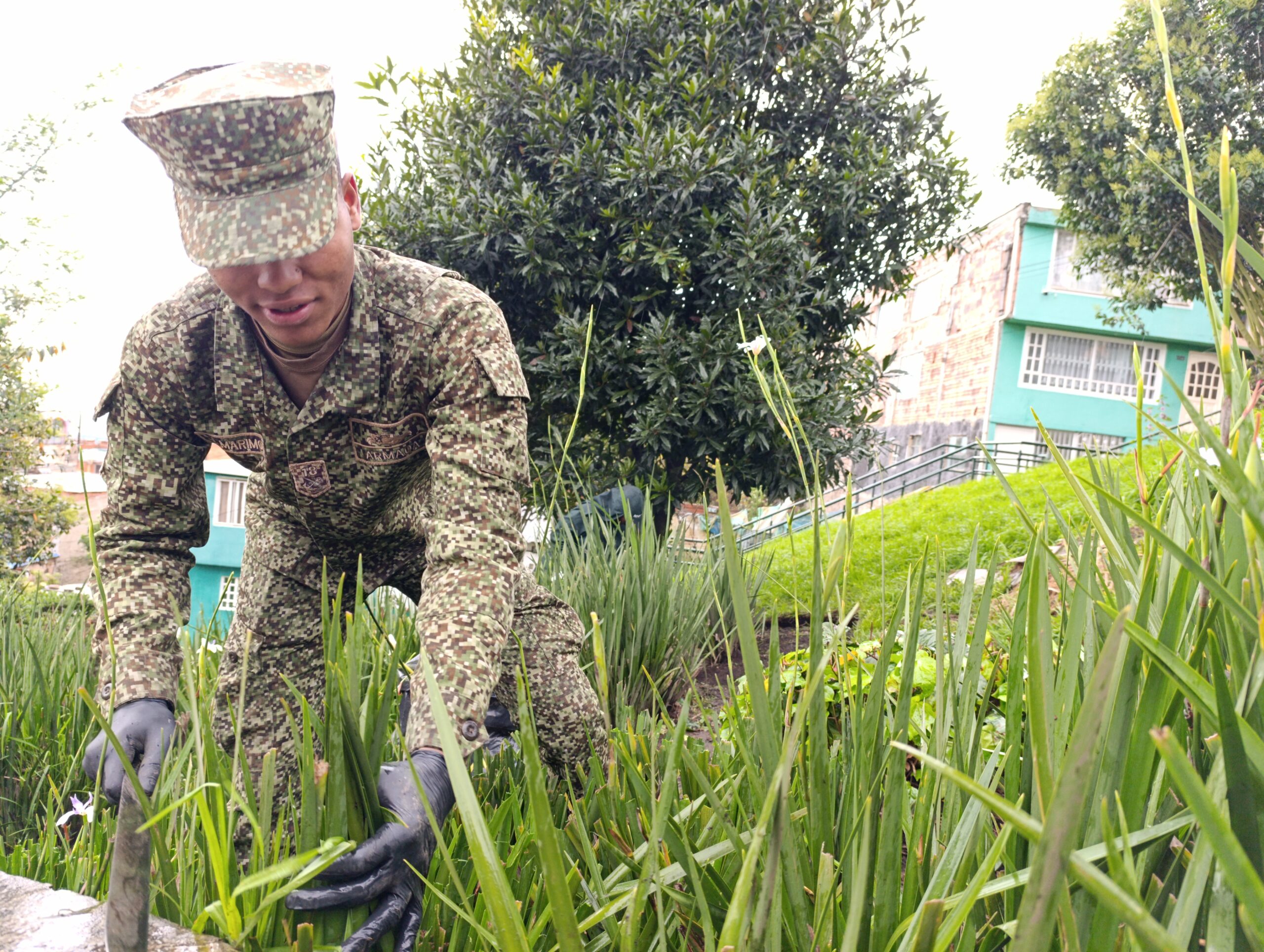 Historias del verde urbano: ¡Soldados de la Infantería de Marina de Colombia se convirtieron en jardineros!