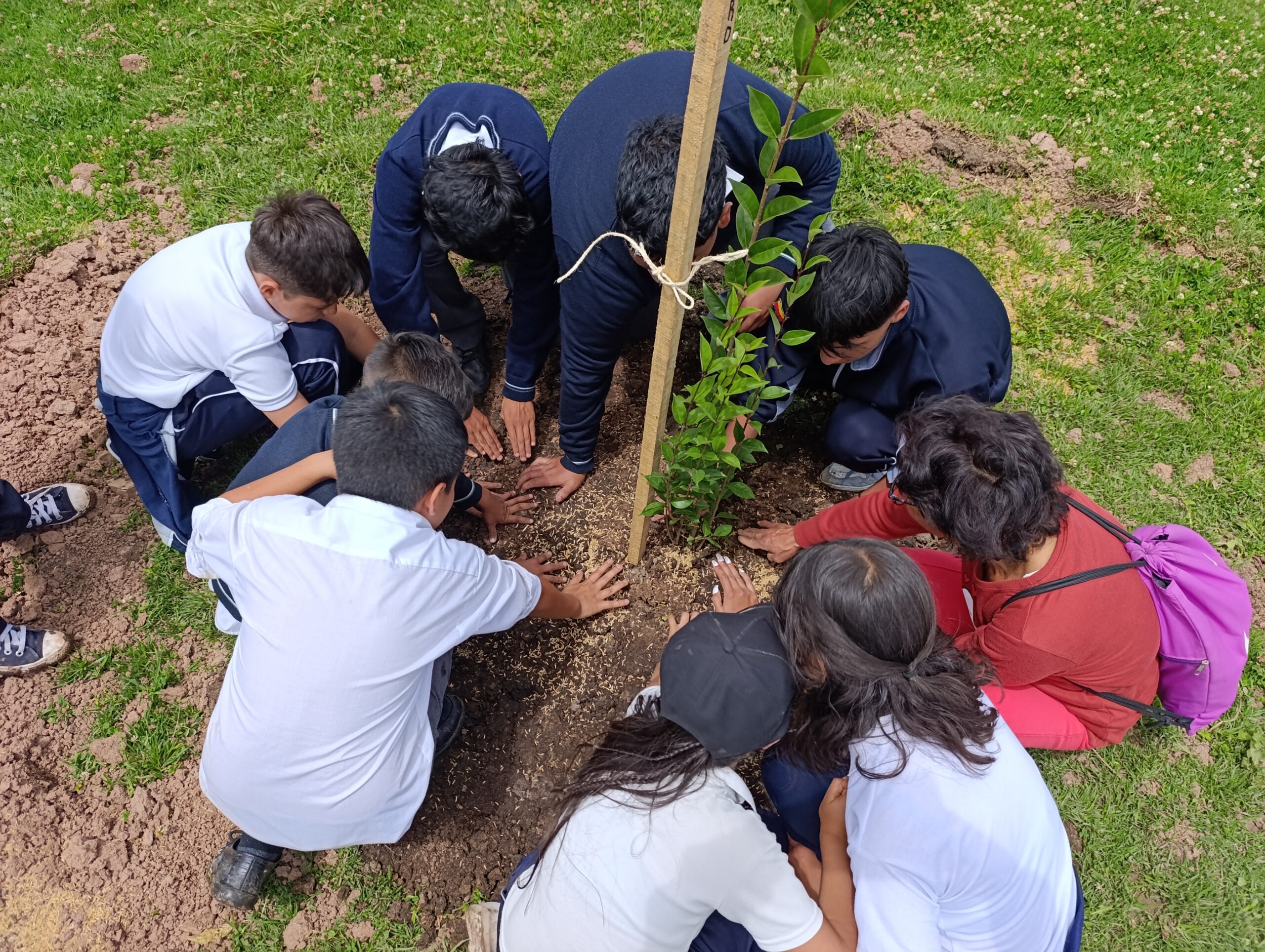 Los ‘pequeños’ guardianes de la nueva joya verde de Bosa