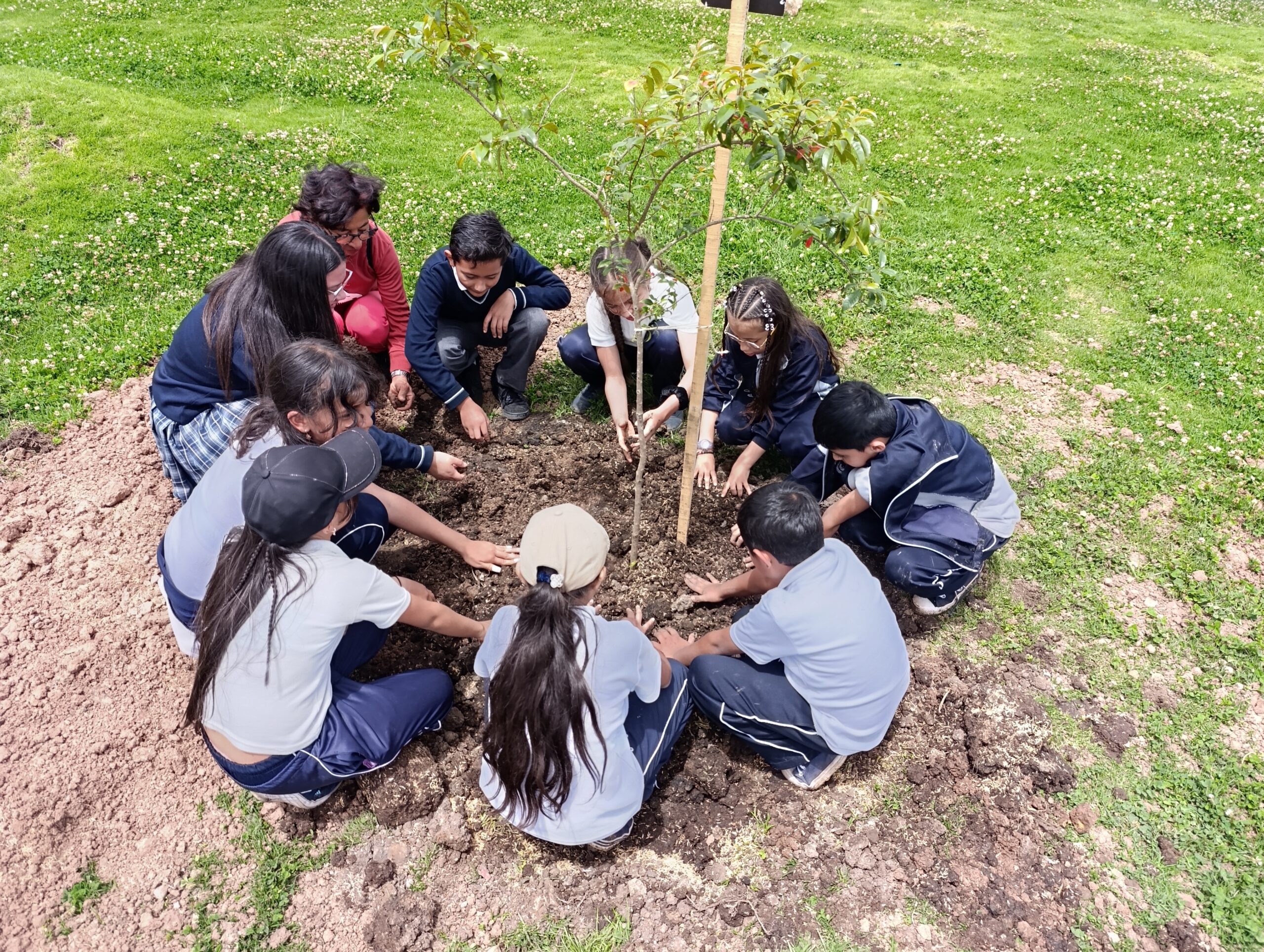 Los ‘pequeños’ guardianes de la nueva joya verde de Bosa