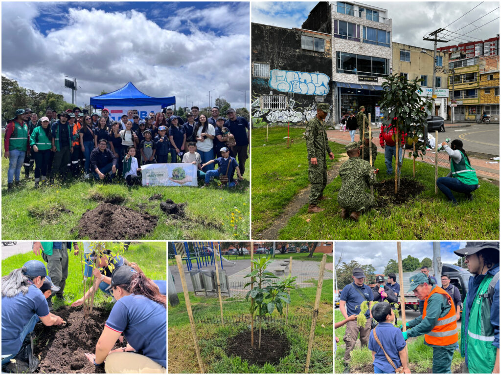 Historias del verde urbano: ¡Empresas privadas se suman al cuidado del arbolado!