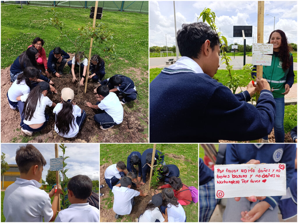 Los ‘pequeños’ guardianes de la nueva joya verde de Bosa