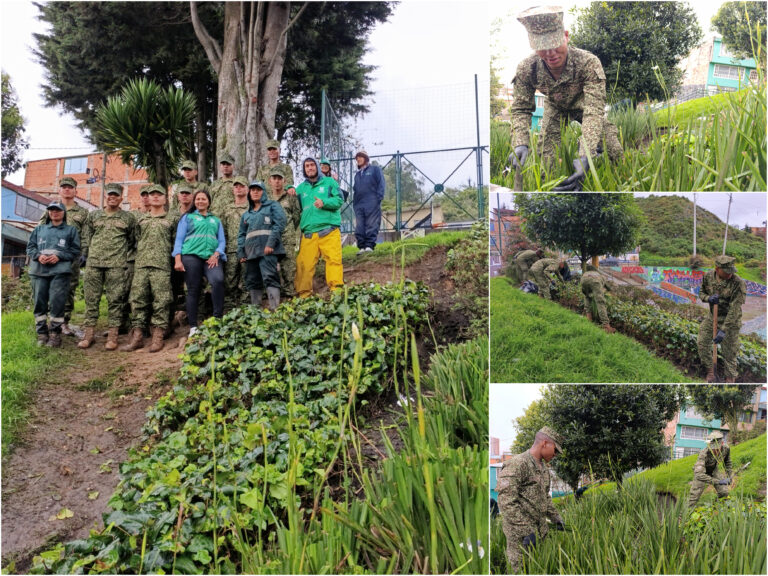 Historias del verde urbano: ¡Soldados de la Infantería de Marina de Colombia se convirtieron en jardineros!
