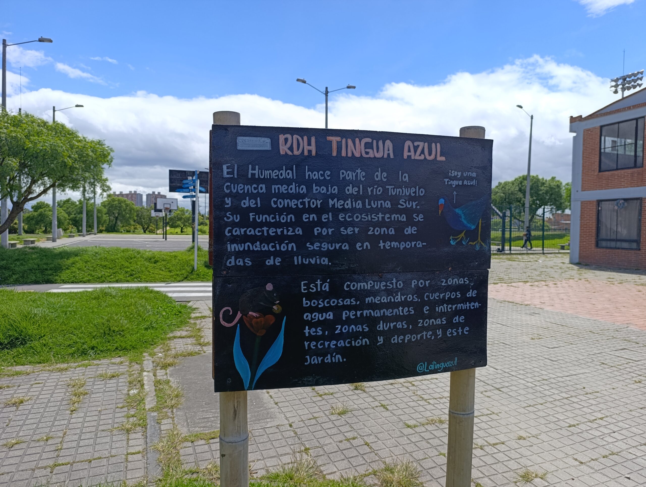 Historias del verde urbano: Los 30 nuevos vecinos verdes del humedal Tingua Azul