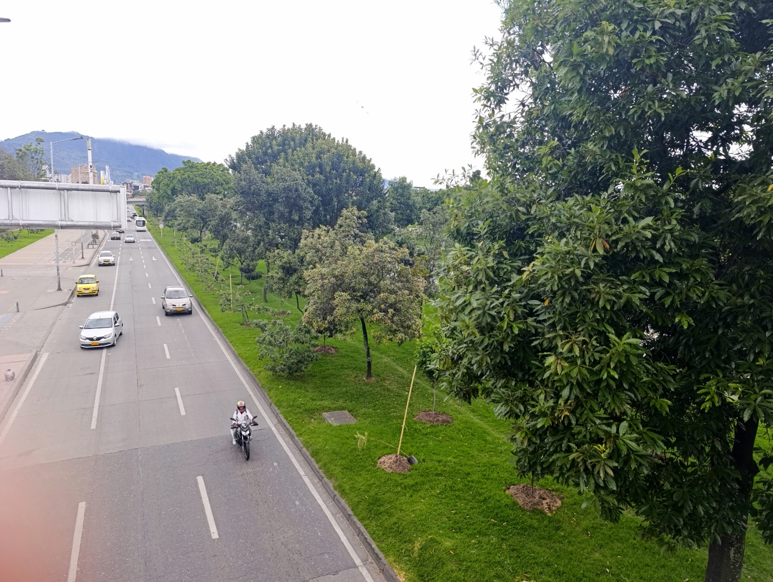 Historias del verde urbano: Homenaje al suelo en la calle 26 y la reserva Thomas van der Hammen