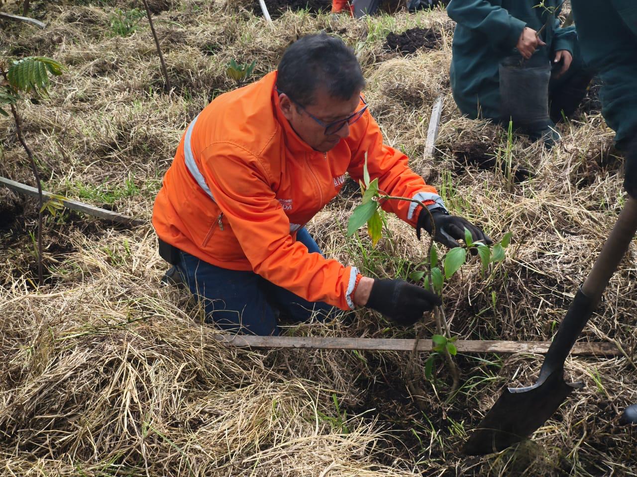 Historias del verde urbano: La fiesta verde que renaturalizó varias zonas de Bogotá
