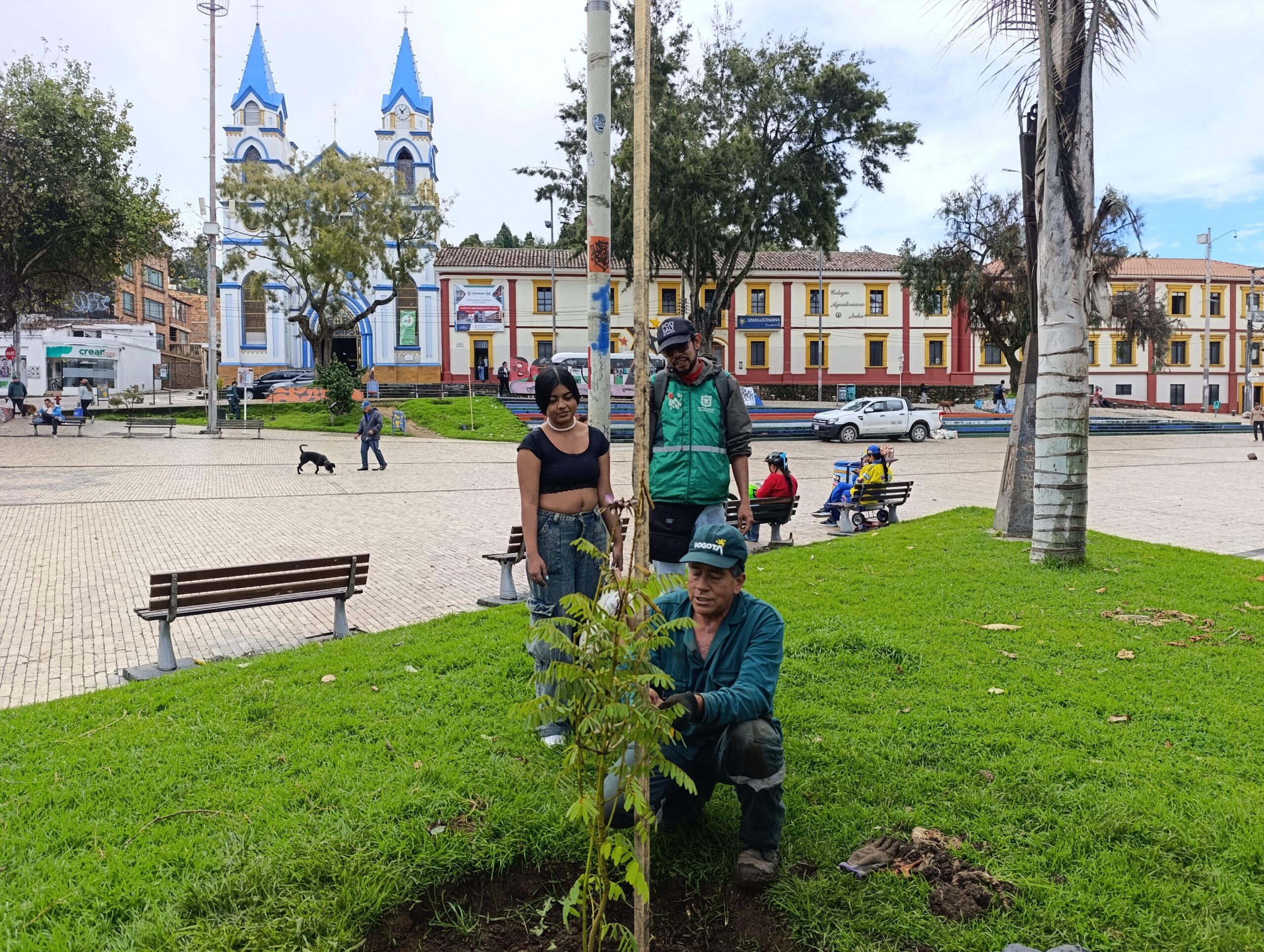 Historias del verde urbano: Bogotá celebró el Día Mundial del Medio Ambiente con la plantación de cerca de 1.000 árboles y arbustos