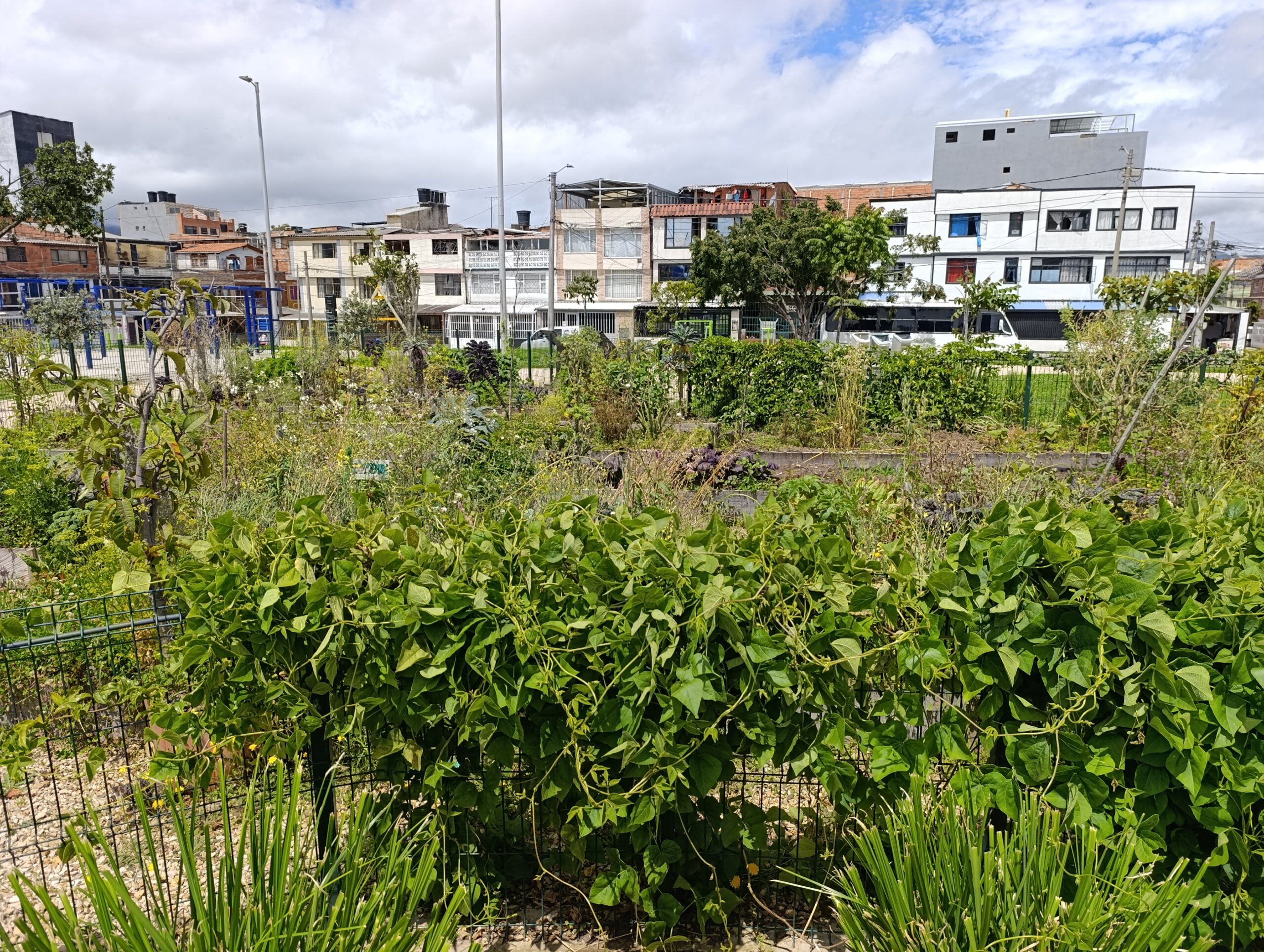 Historias del verde urbano: Cinco localidades se vistieron de verde durante el primer día de la Semana Ambiental