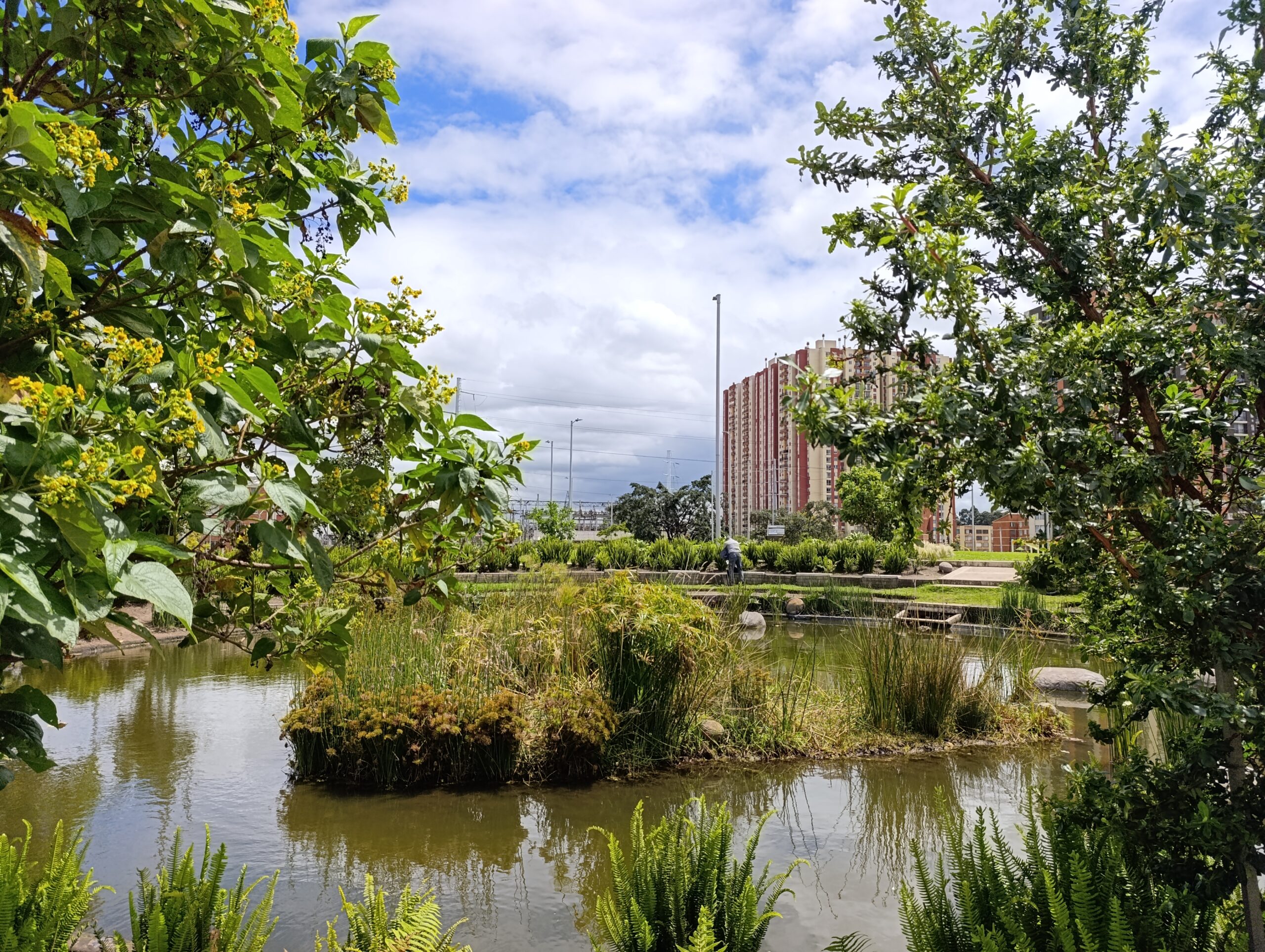 Historias del verde urbano: Cinco localidades se vistieron de verde durante el primer día de la Semana Ambiental