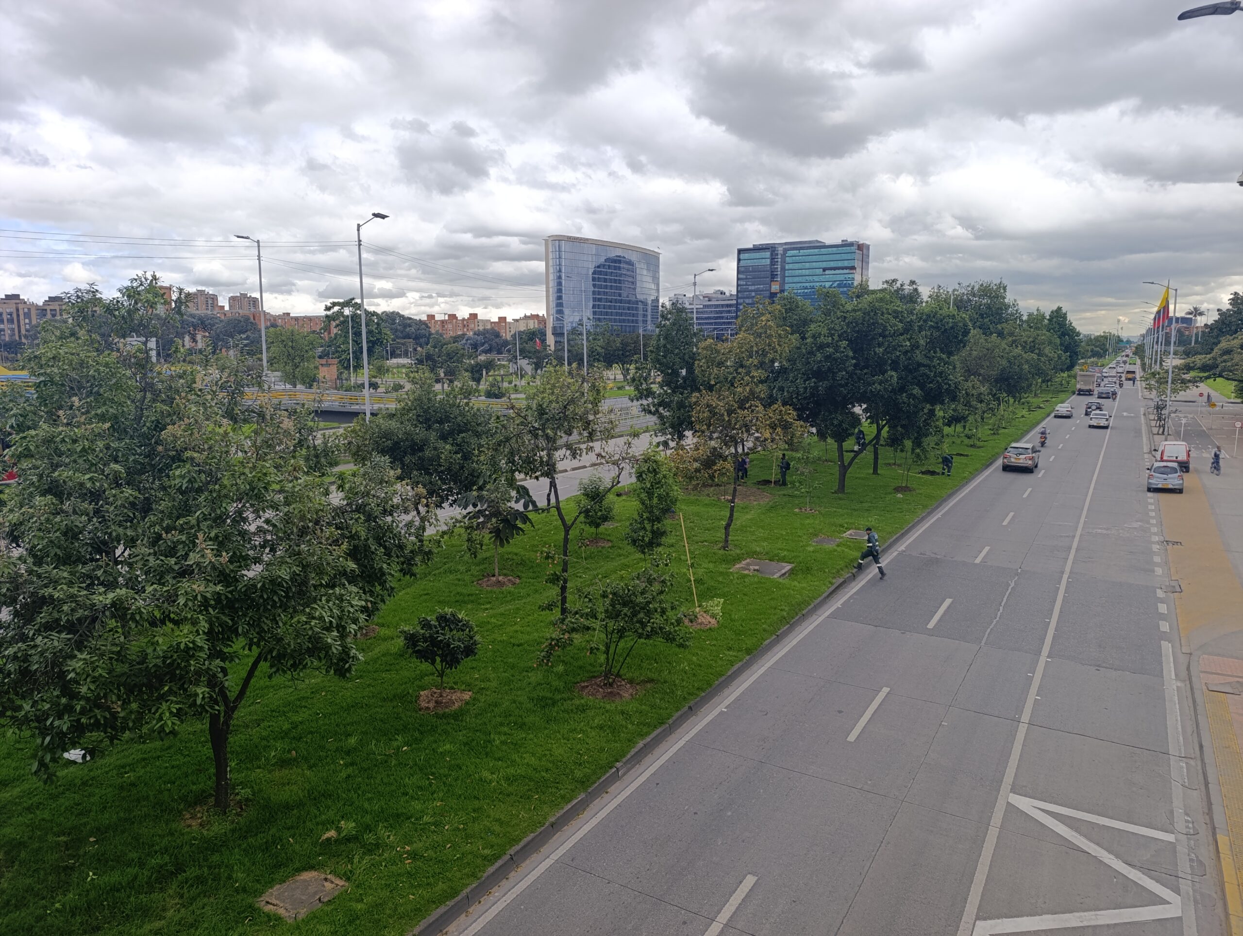 Historias del verde urbano: Homenaje al suelo en la calle 26 y la reserva Thomas van der Hammen