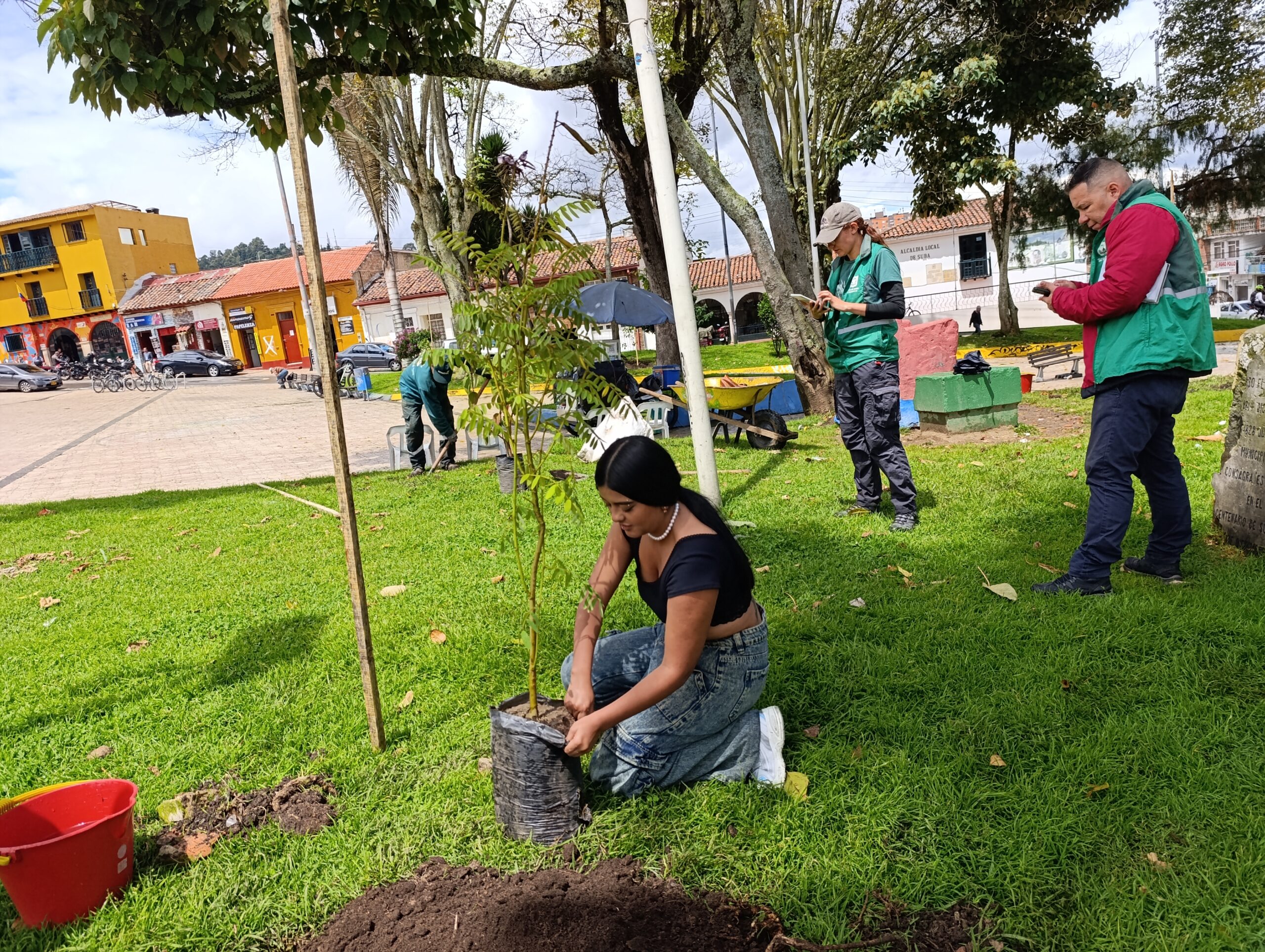Historias del verde urbano: La fiesta verde que renaturalizó varias zonas de Bogotá