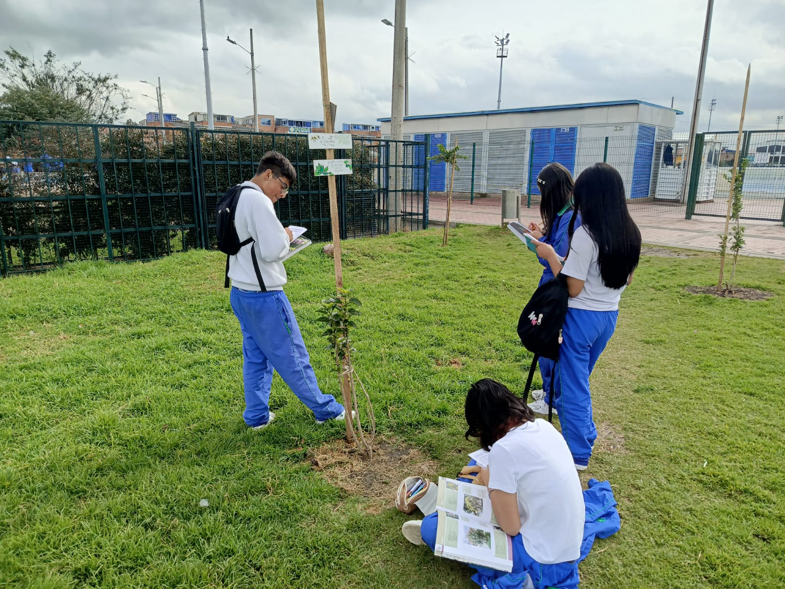 Historias del verde urbano: Talleres ambientales con los guardianes verdes de El Recreo