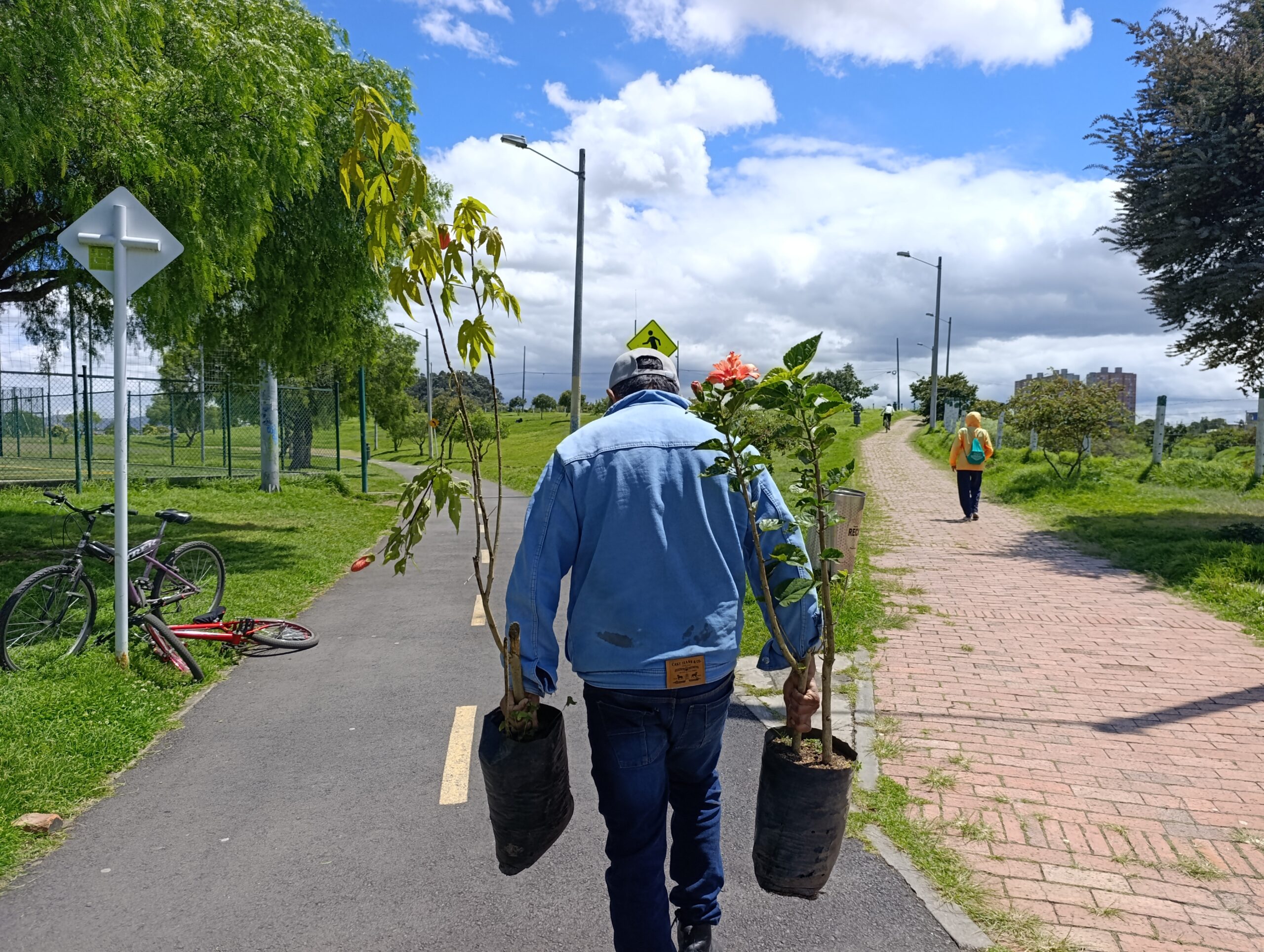 Historias del verde urbano: Los 30 nuevos vecinos verdes del humedal Tingua Azul