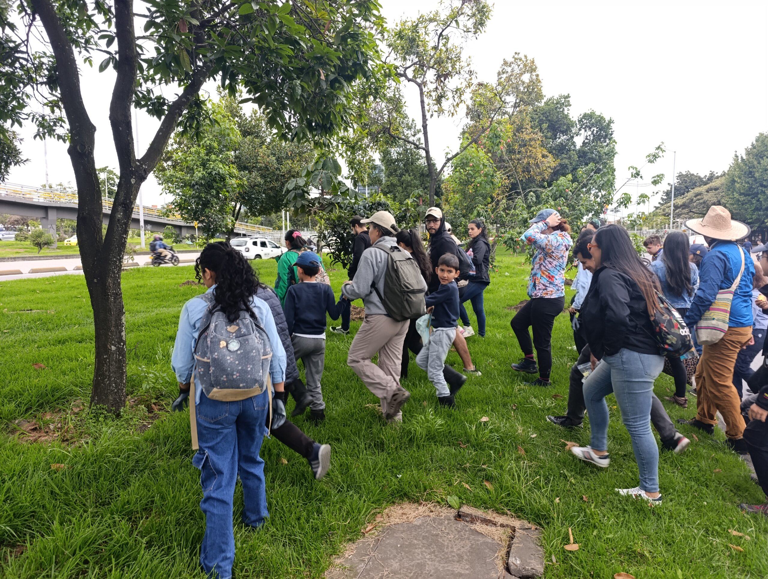 Historias del verde urbano: Homenaje al suelo en la calle 26 y la reserva Thomas van der Hammen