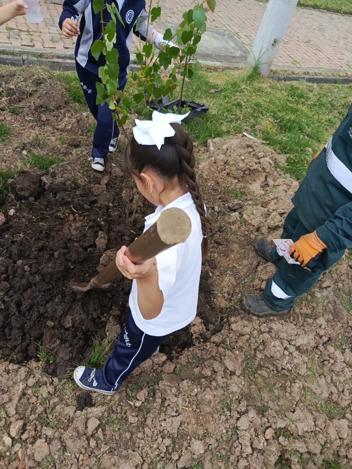 Historias del verde urbano: Bogotá celebró el Día Mundial del Medio Ambiente con la plantación de cerca de 1.000 árboles y arbustos