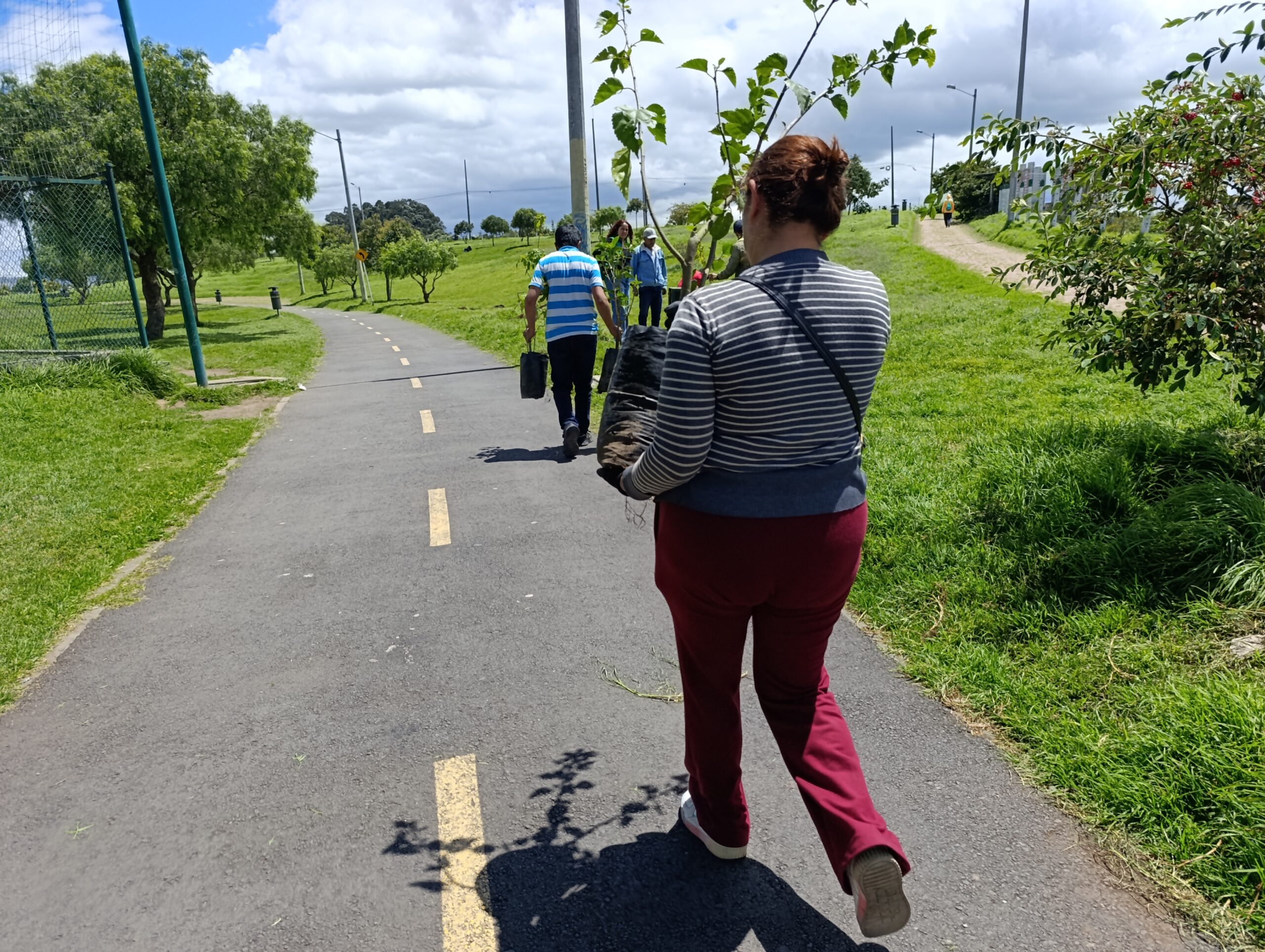 Historias del verde urbano: Los 30 nuevos vecinos verdes del humedal Tingua Azul