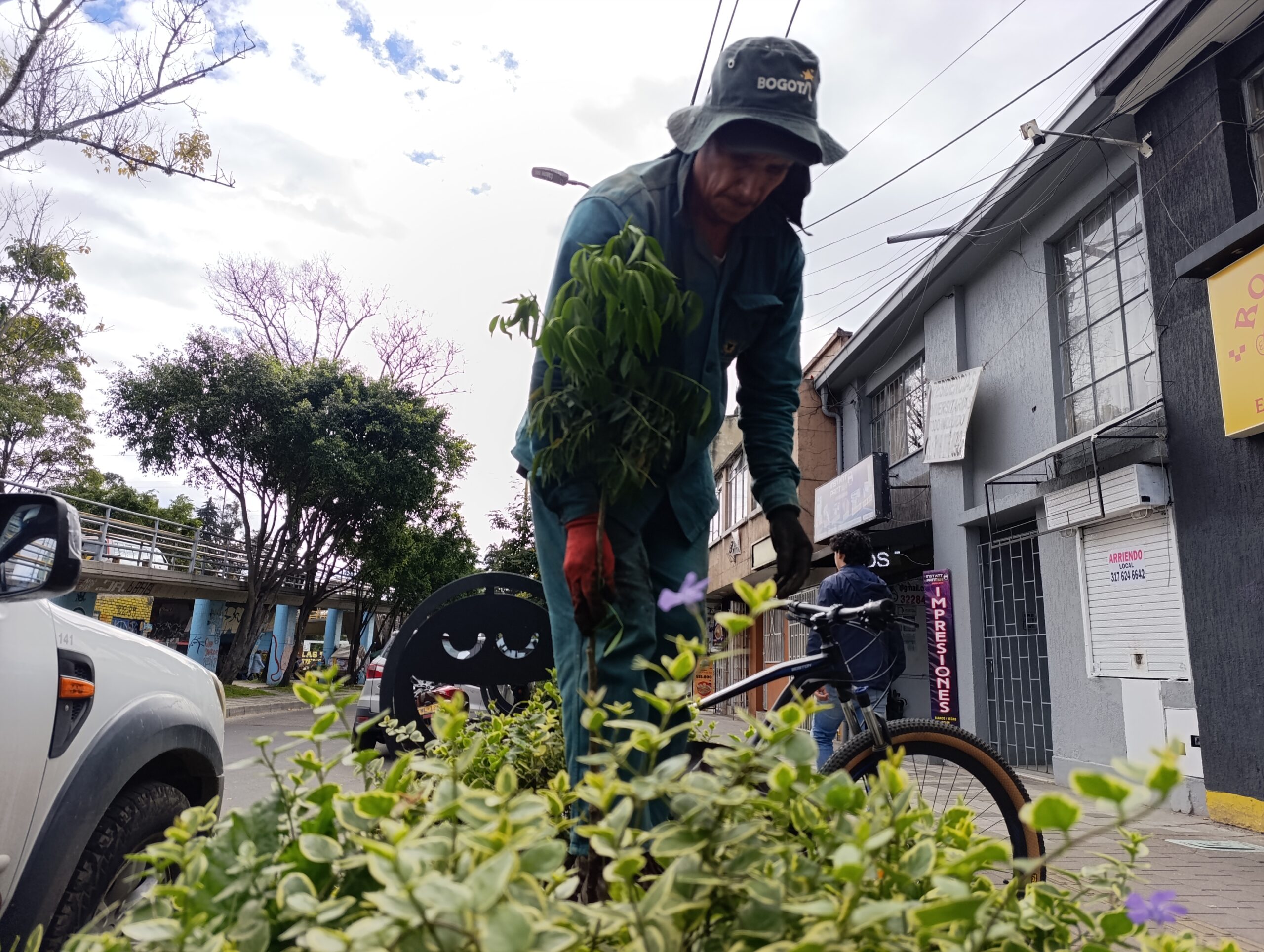 Historias del verde urbano: Bogotá celebró el Día Mundial del Medio Ambiente con la plantación de cerca de 1.000 árboles y arbustos