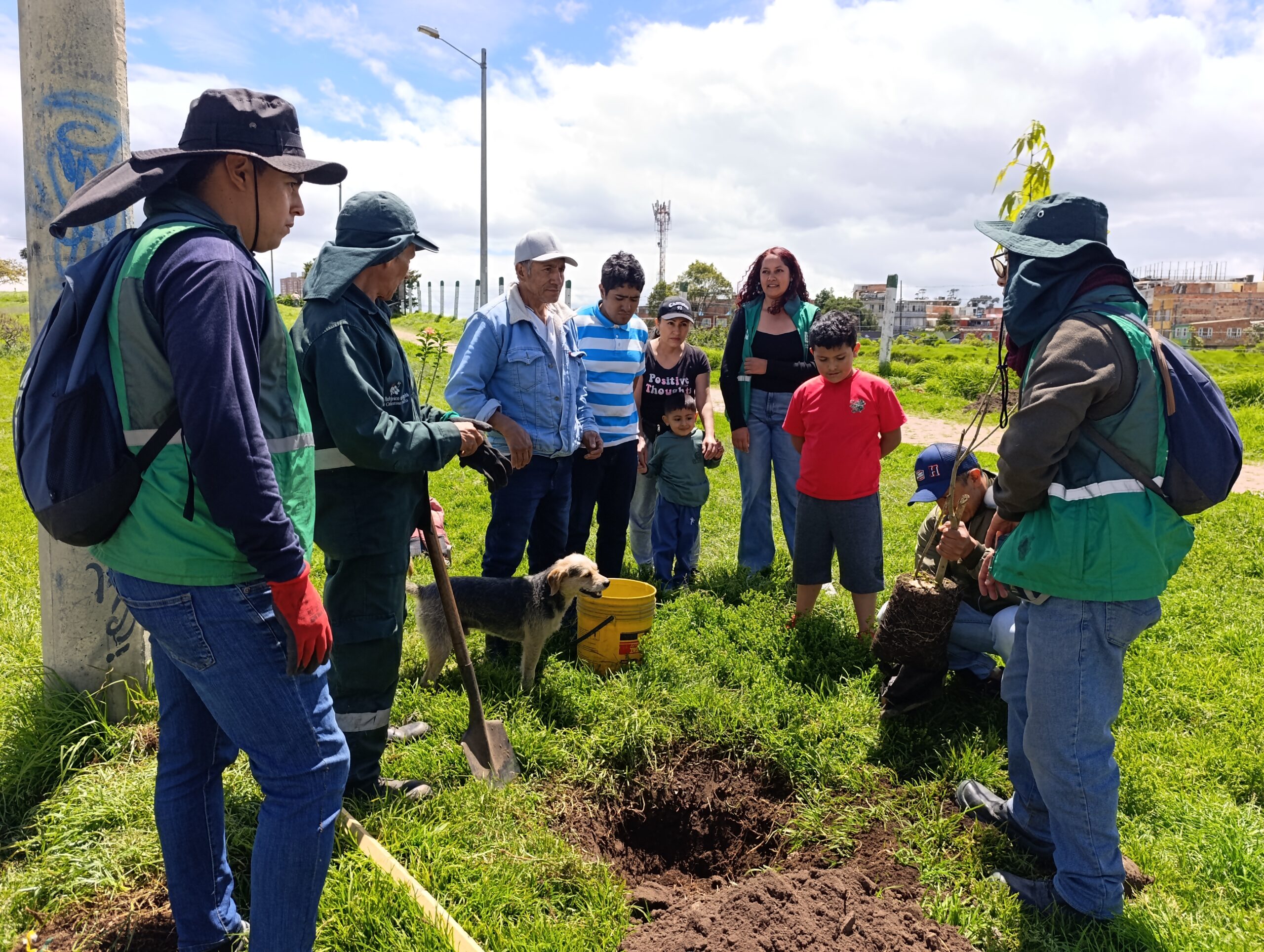 Historias del verde urbano: Los 30 nuevos vecinos verdes del humedal Tingua Azul