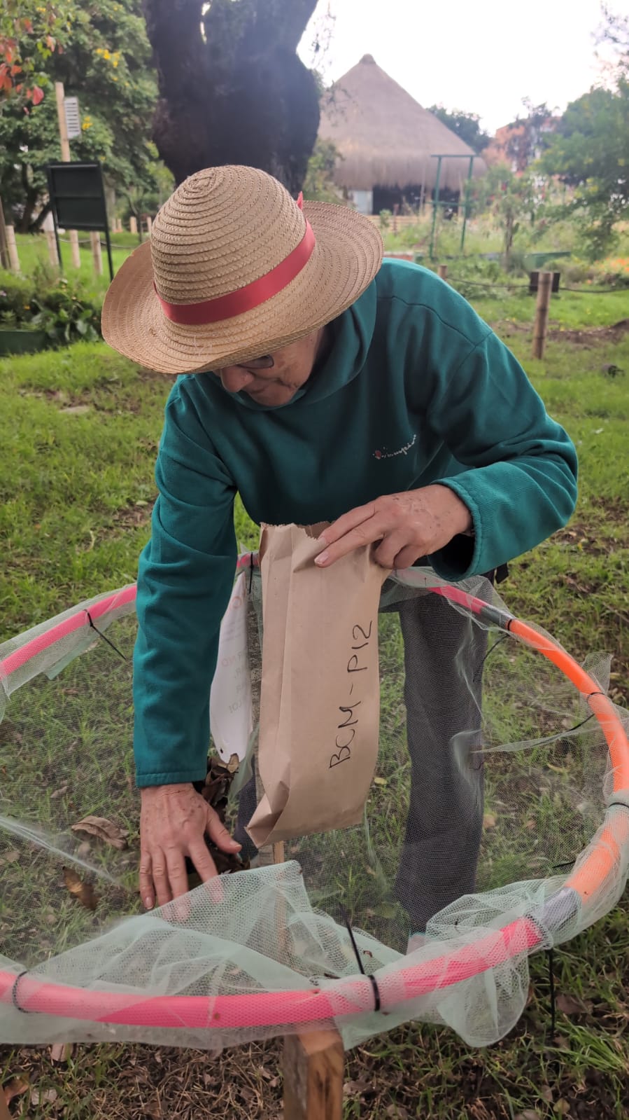 Historias del verde urbano: Ciudad Montes: un bosque urbano que sigue sumando proyectos liderados por la comunidad