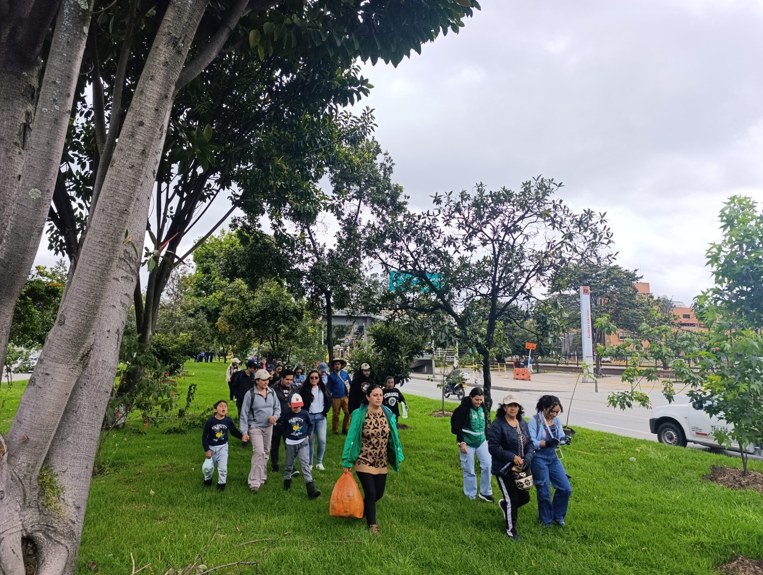 Historias del verde urbano: Homenaje al suelo en la calle 26 y la reserva Thomas van der Hammen