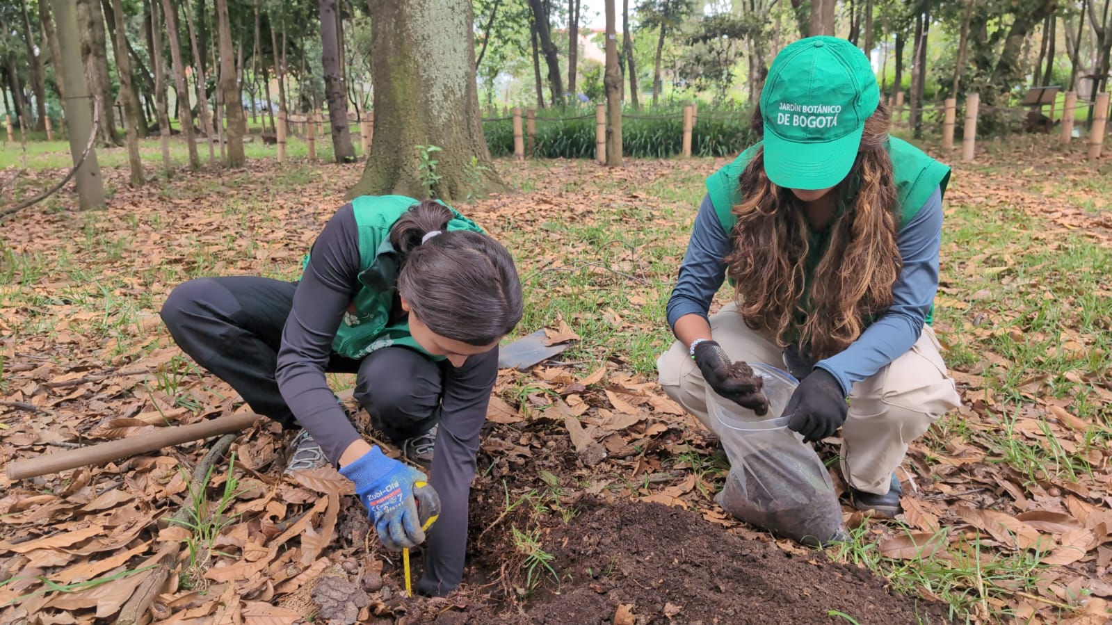 Historias del verde urbano: Ciudad Montes: un bosque urbano que sigue sumando proyectos liderados por la comunidad