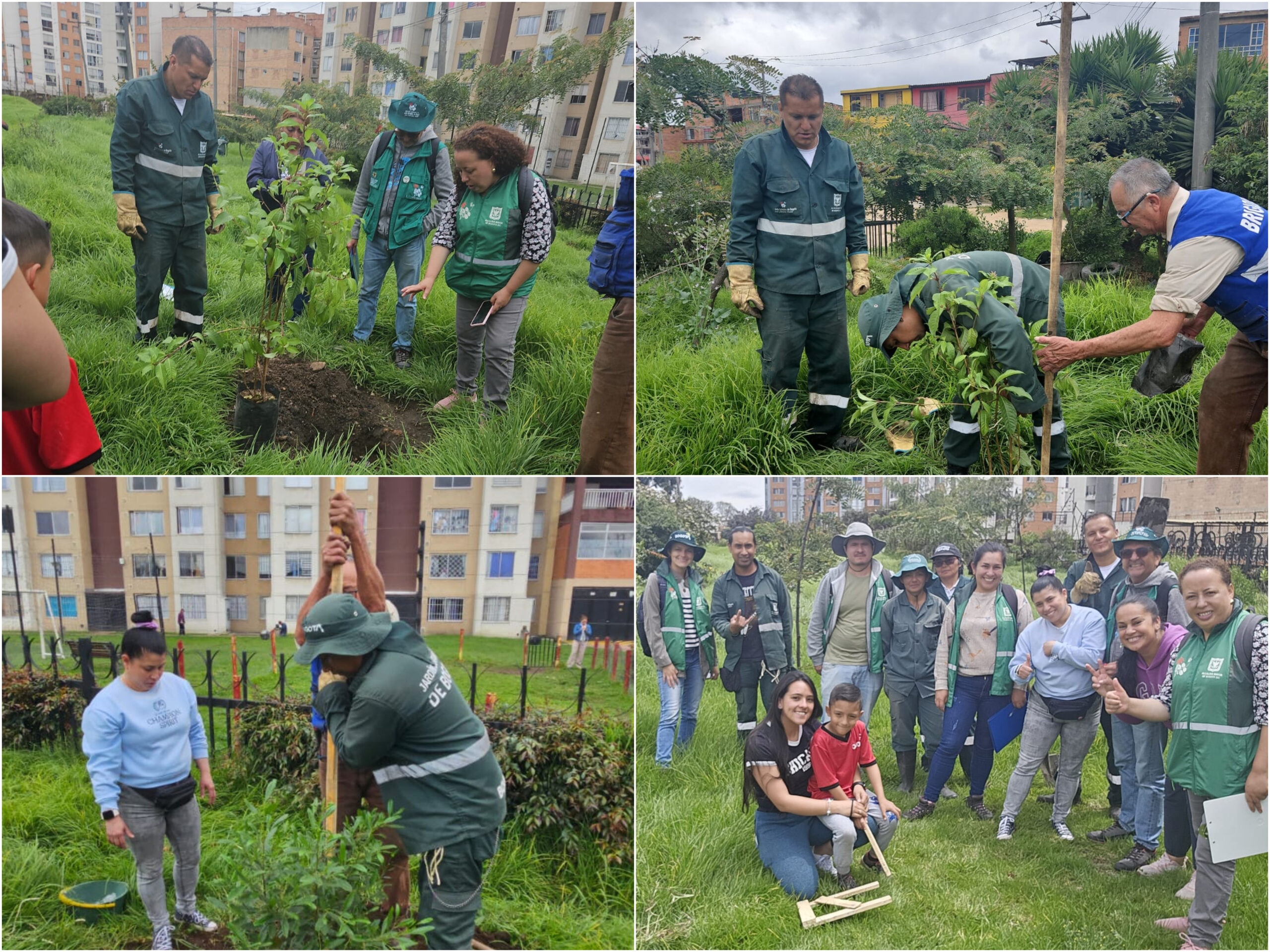 Historias del verde urbano: Bogotá avanza en la recuperación de su arbolado urbano