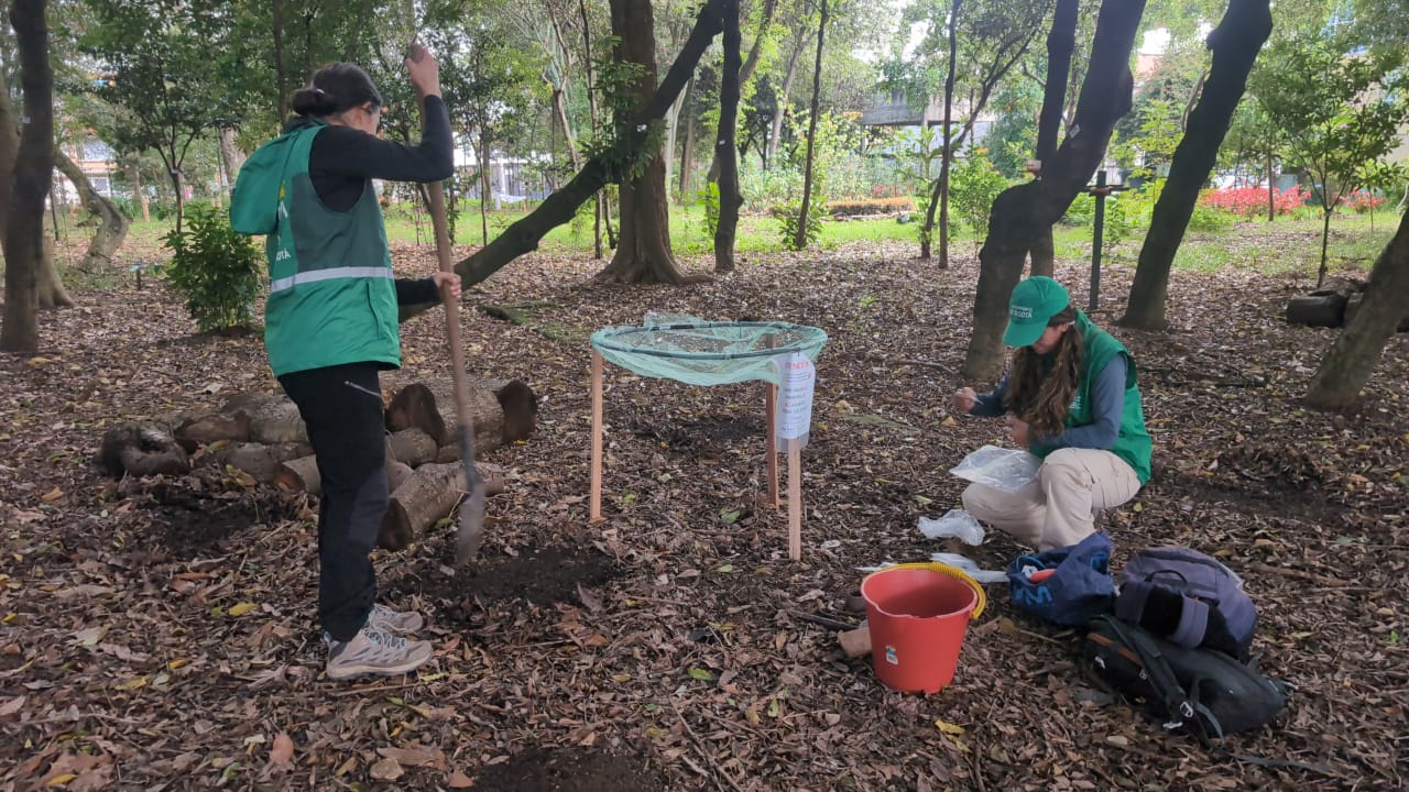 Historias del verde urbano: Ciudad Montes: un bosque urbano que sigue sumando proyectos liderados por la comunidad