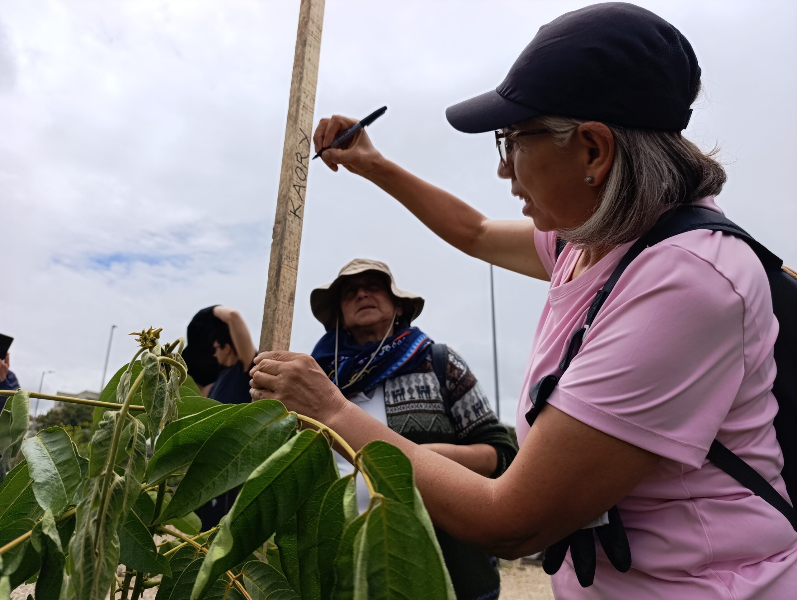 Historias del verde urbano: La fiesta verde que renaturalizó varias zonas de Bogotá