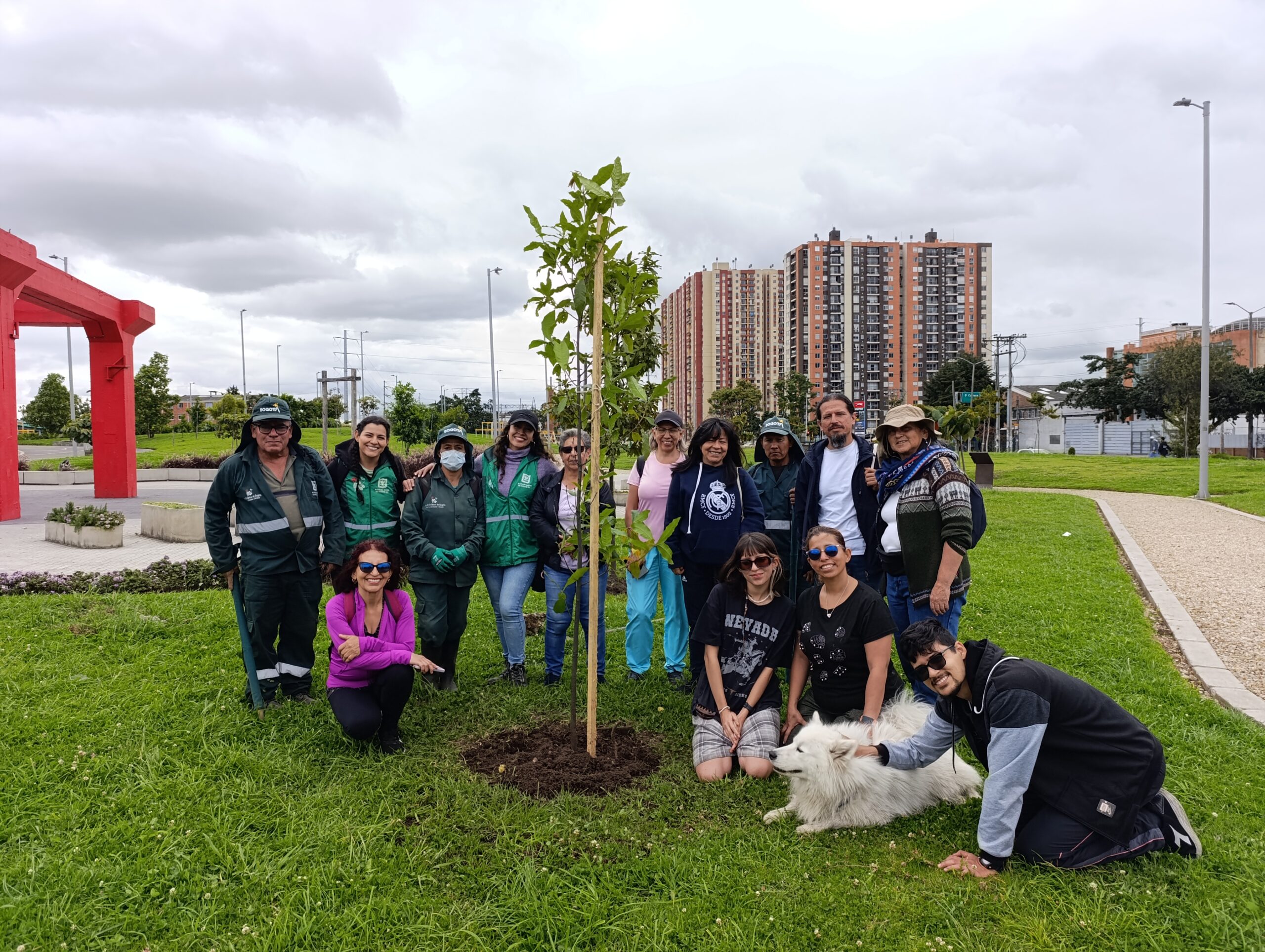 Historias del verde urbano: La fiesta verde que renaturalizó varias zonas de Bogotá
