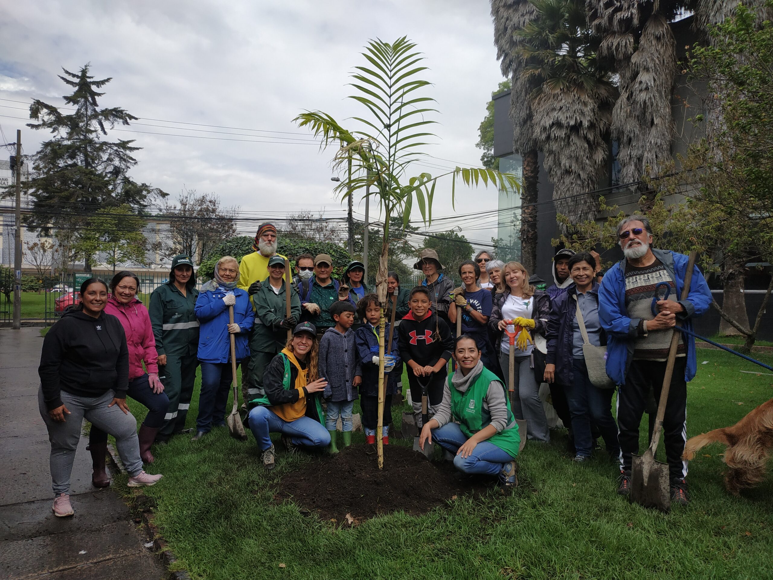 Historias del verde urbano: “Encontrémonos en los bosques urbanos”: la nueva estrategia social y técnica del Jardín Botánico