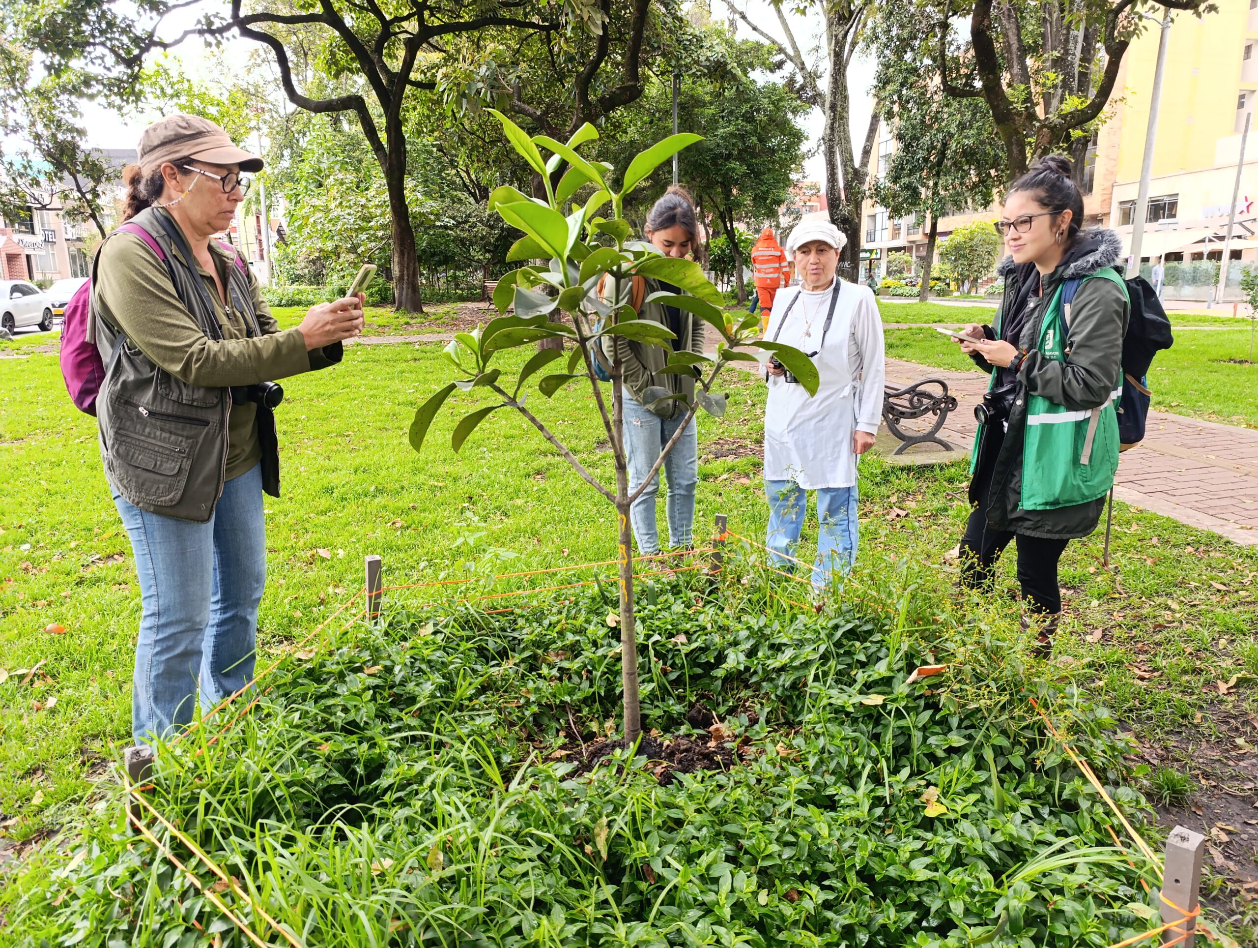 Historias del verde urbano: “Encontrémonos en los bosques urbanos”: la nueva estrategia social y técnica del Jardín Botánico
