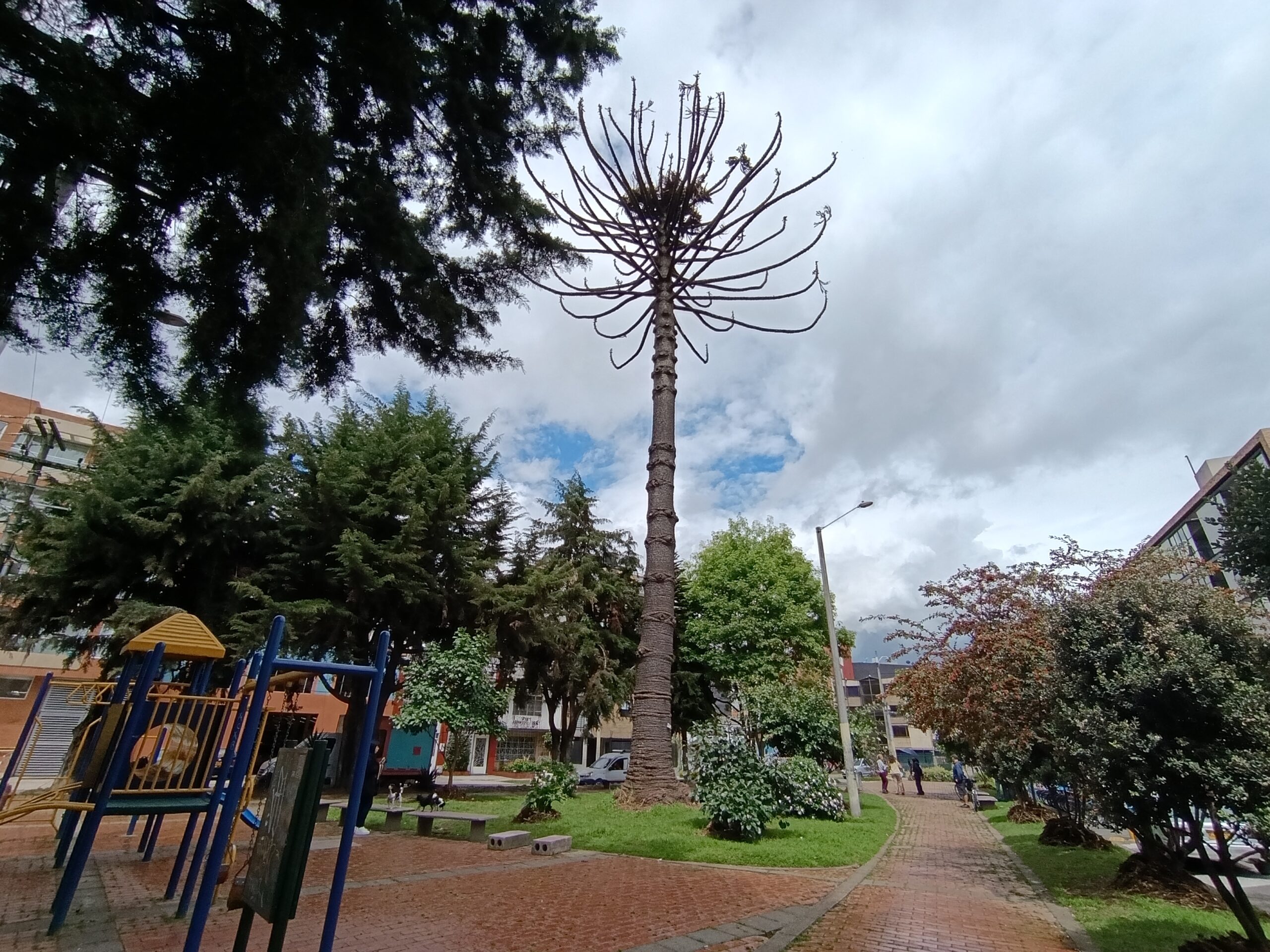 Historias del verde urbano: Adiós a un gigante verde de Teusaquillo