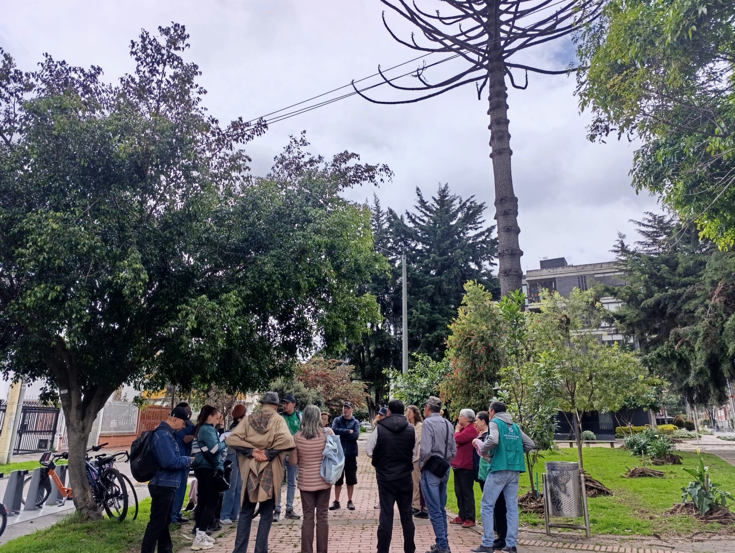 Historias del verde urbano: Adiós a un gigante verde de Teusaquillo