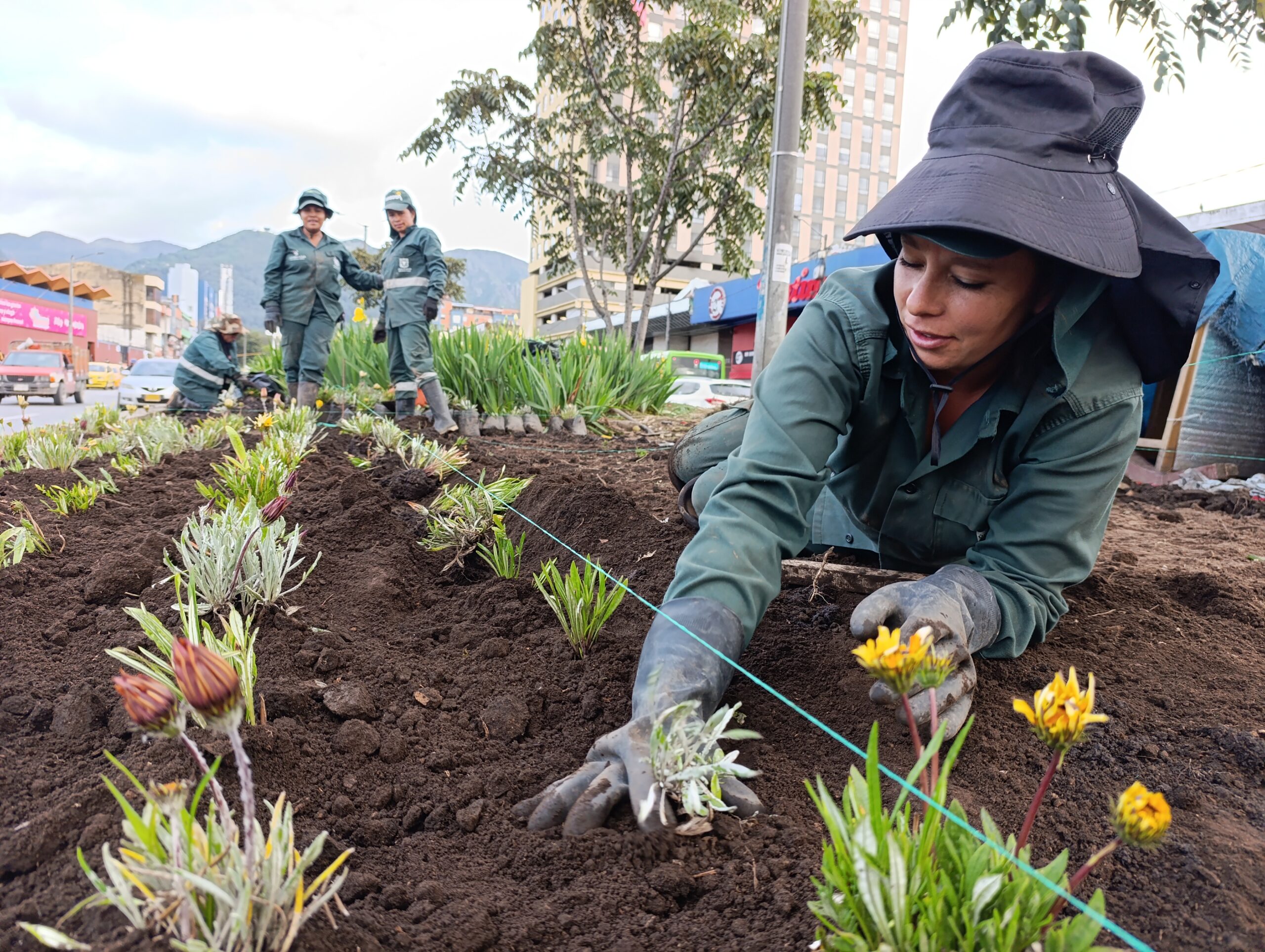 Historias del verde urbano: Paloquemao: una jardinera en vía de recuperación