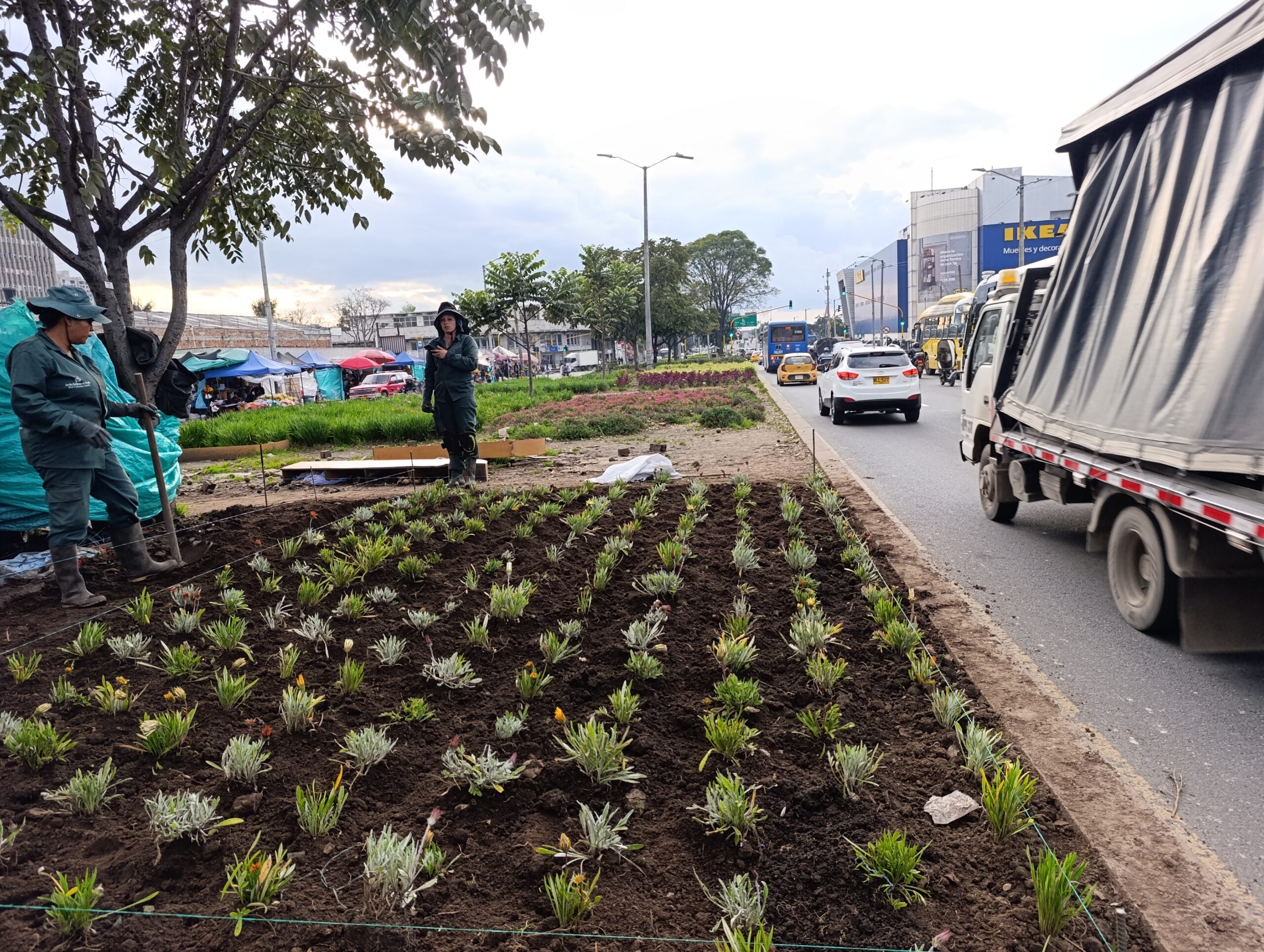 Historias del verde urbano: Paloquemao: una jardinera en vía de recuperación