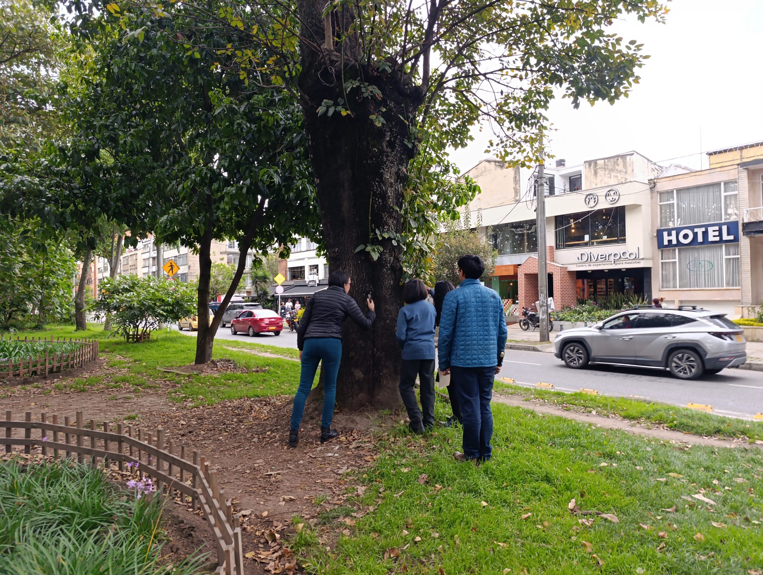 Historias del verde urbano: Caminata sensorial por el bosque urbano del Parkway