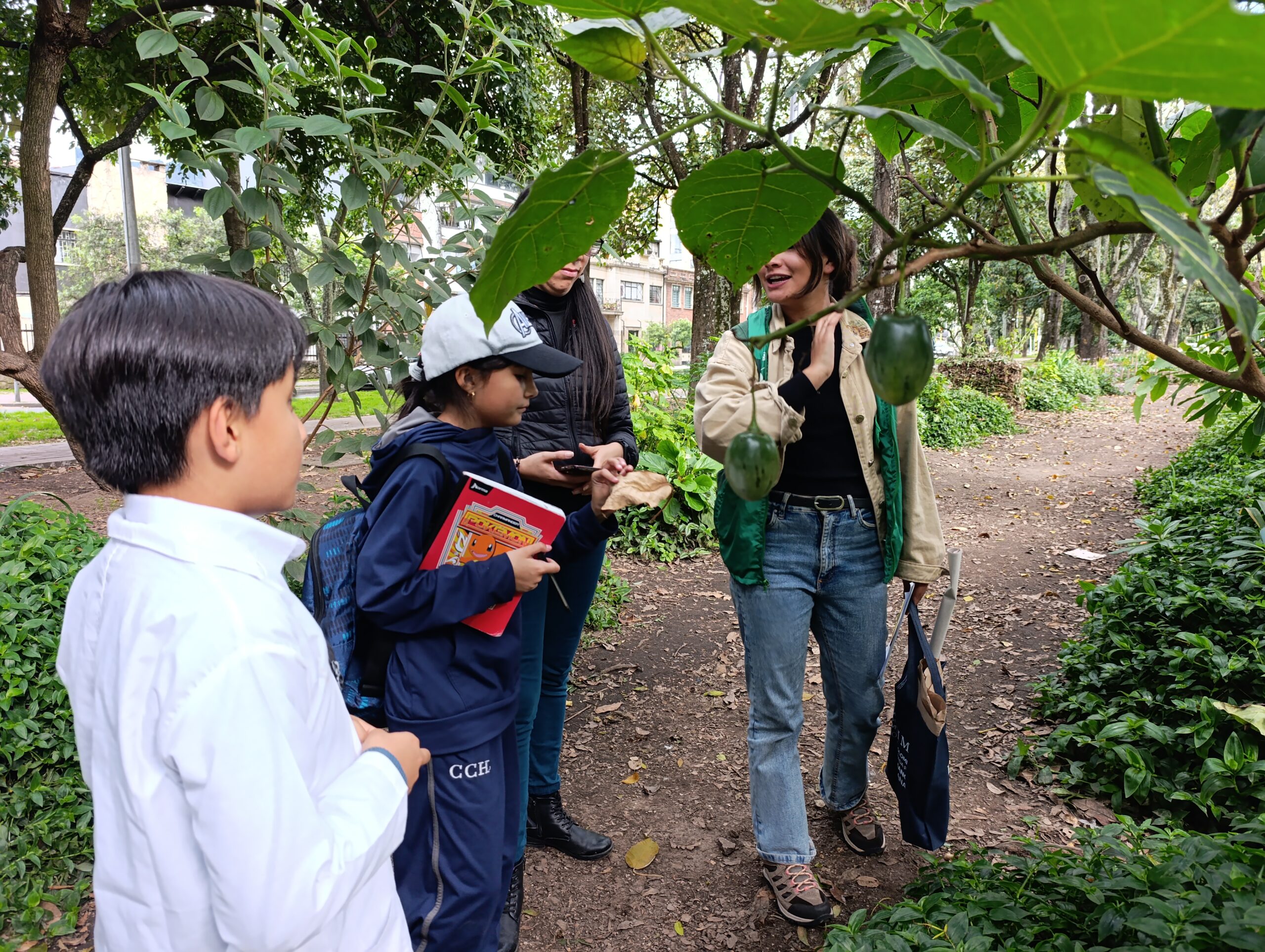 Historias del verde urbano: Caminata sensorial por el bosque urbano del Parkway
