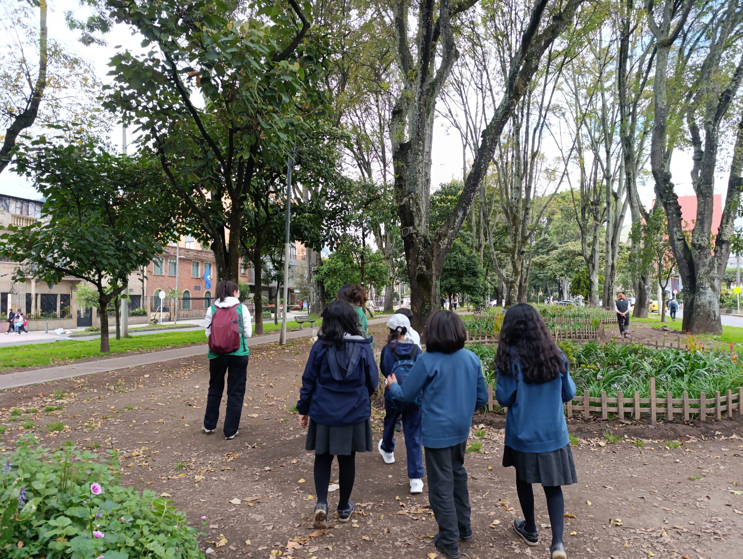 Historias del verde urbano: Caminata sensorial por el bosque urbano del Parkway