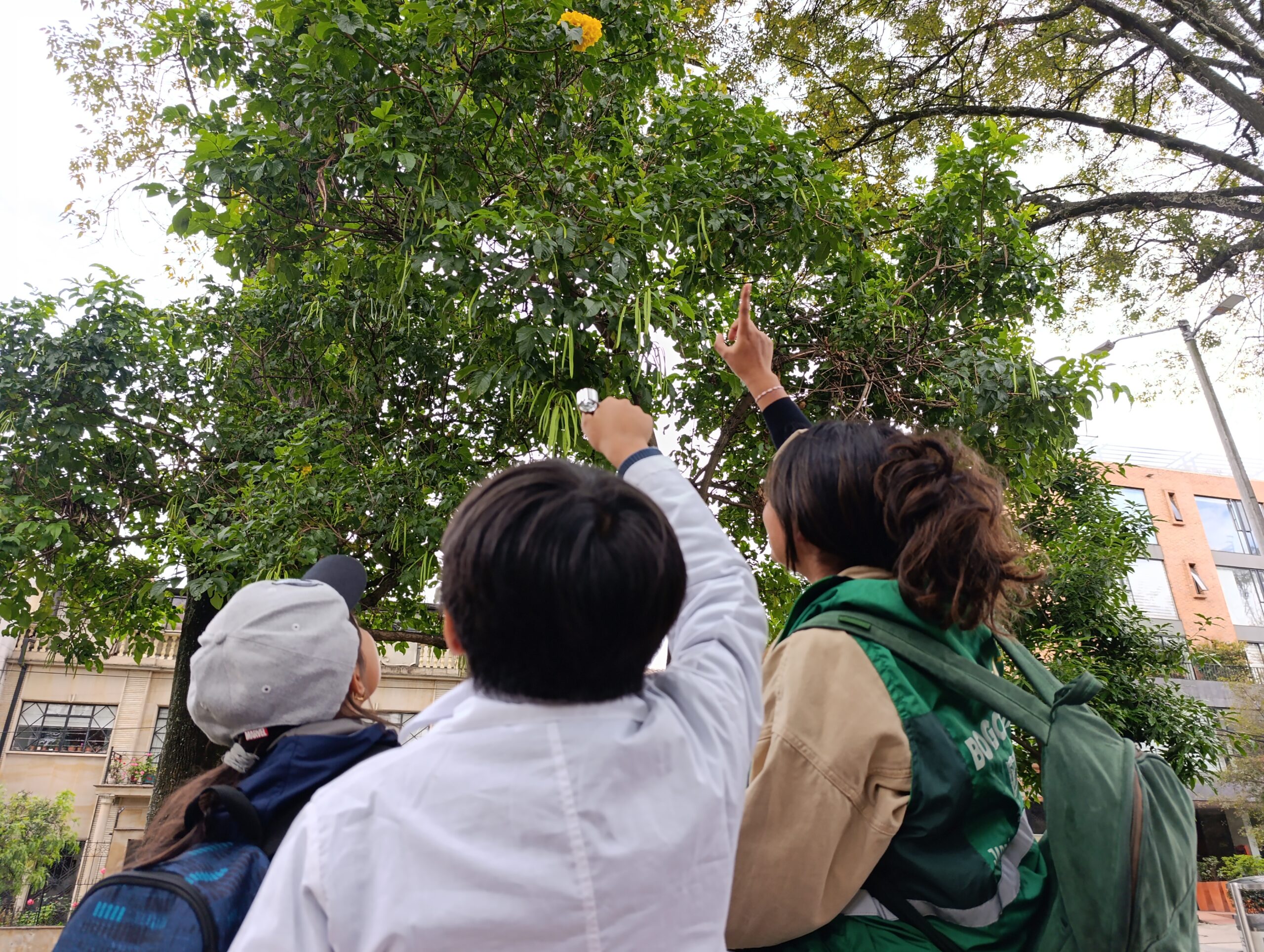 Historias del verde urbano: Caminata sensorial por el bosque urbano del Parkway