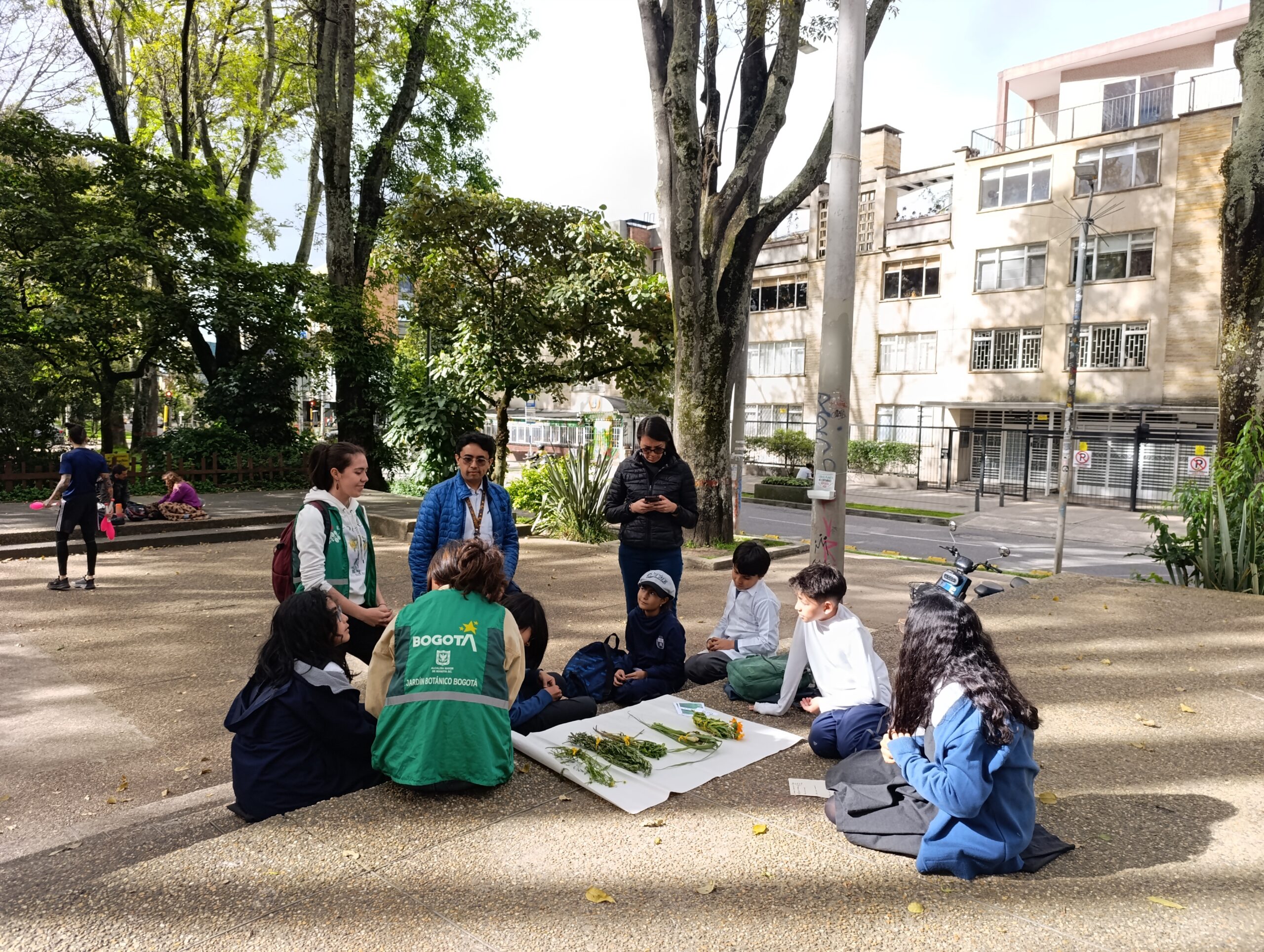 Historias del verde urbano: Caminata sensorial por el bosque urbano del Parkway