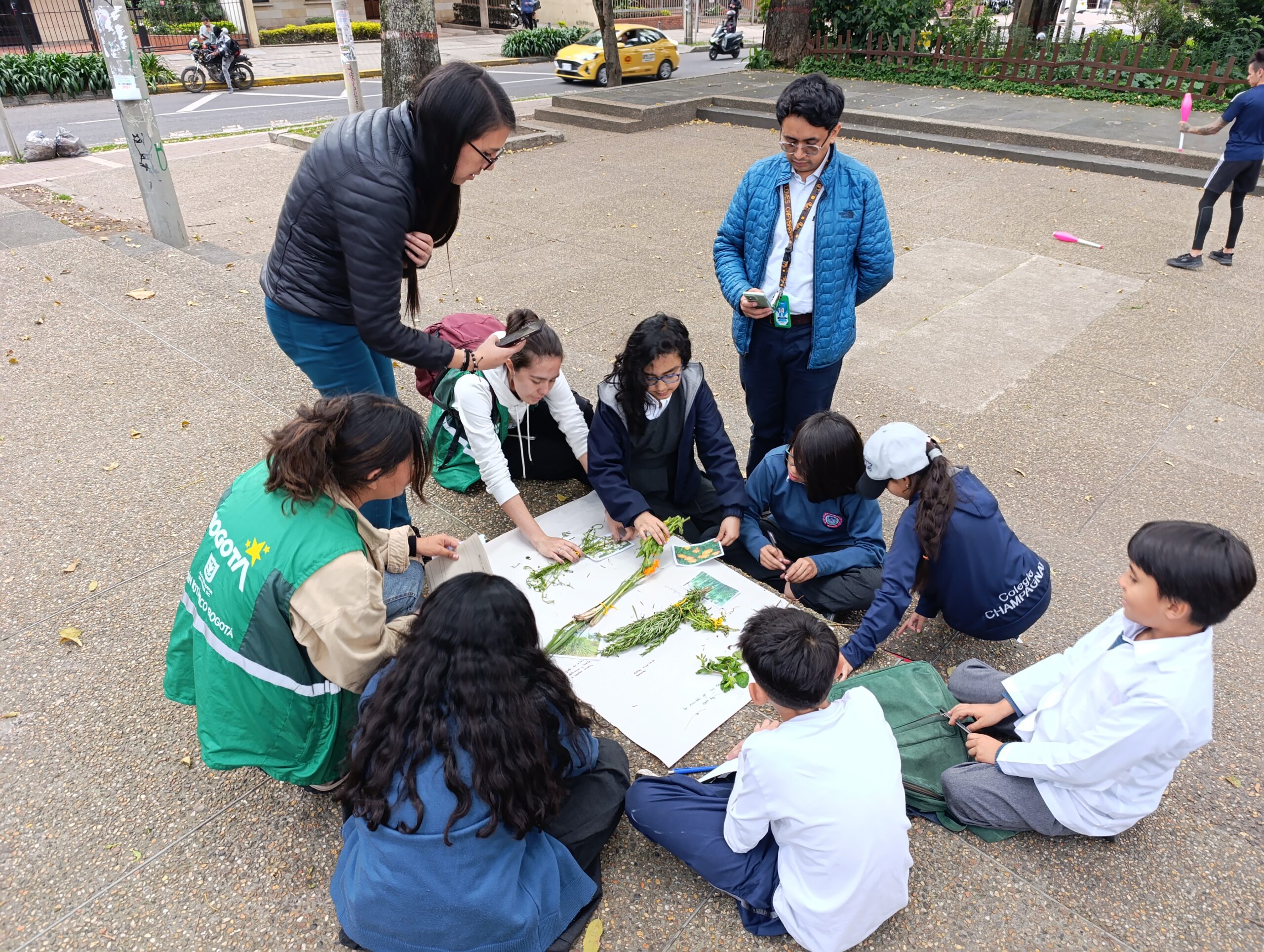 Historias del verde urbano: Caminata sensorial por el bosque urbano del Parkway