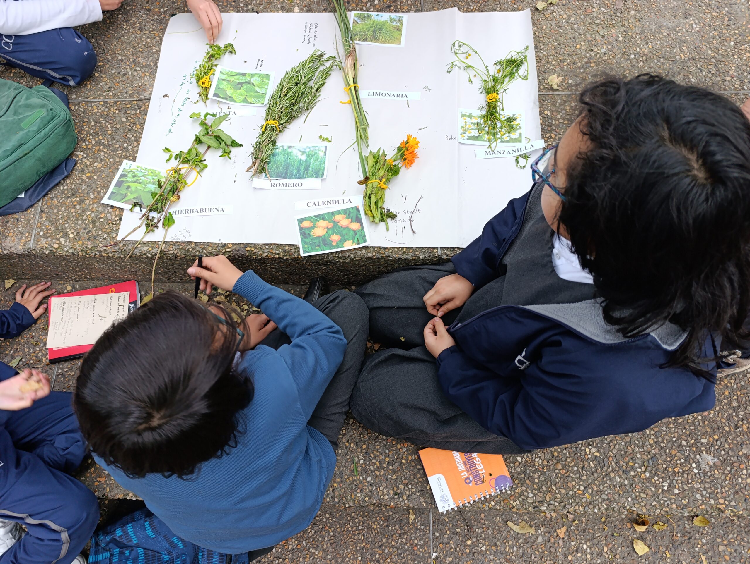 Historias del verde urbano: Caminata sensorial por el bosque urbano del Parkway