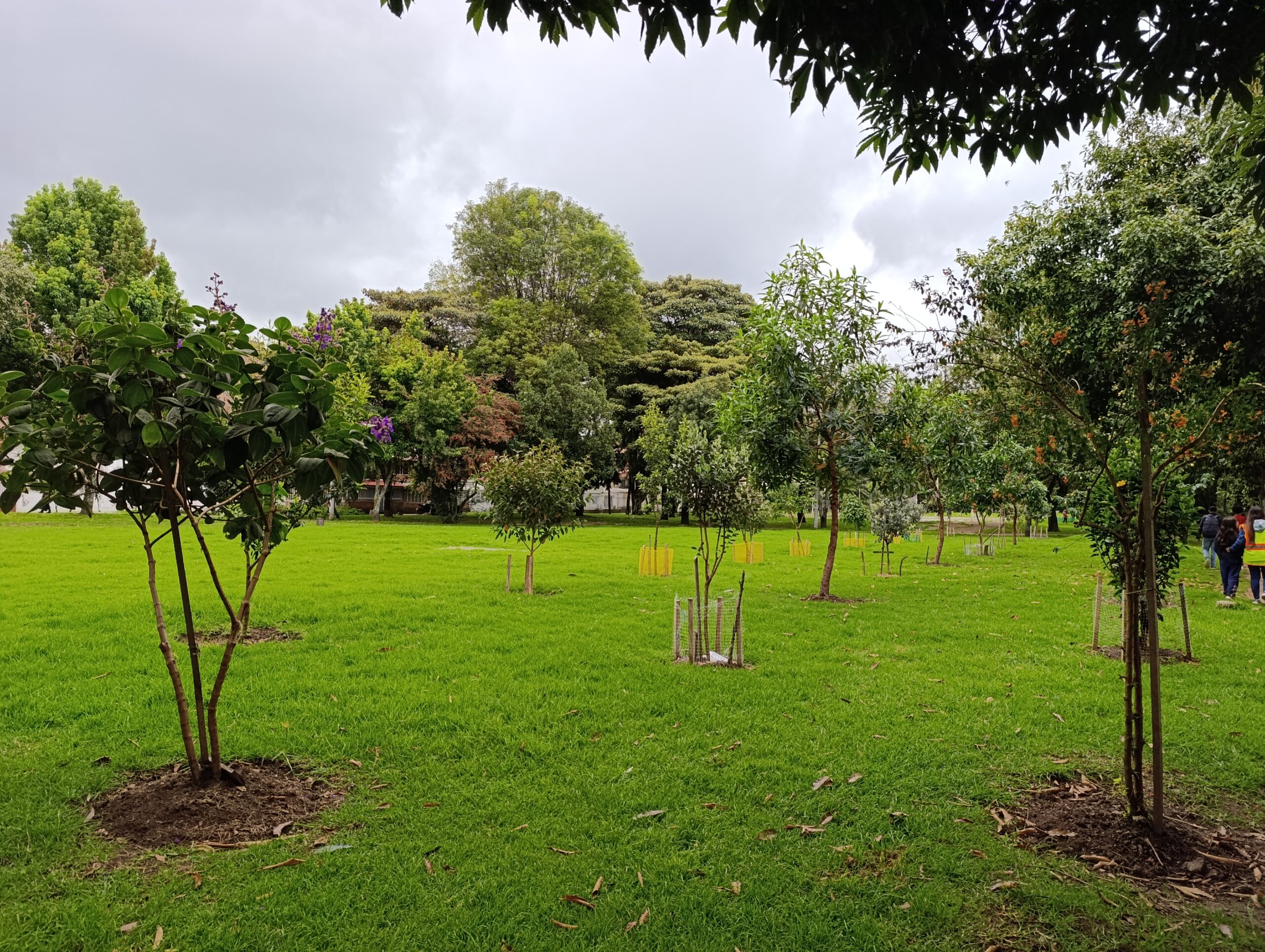 Historias del verde urbano: Santa Helena: la primera parada de “Encontrémonos en los bosques urbanos”