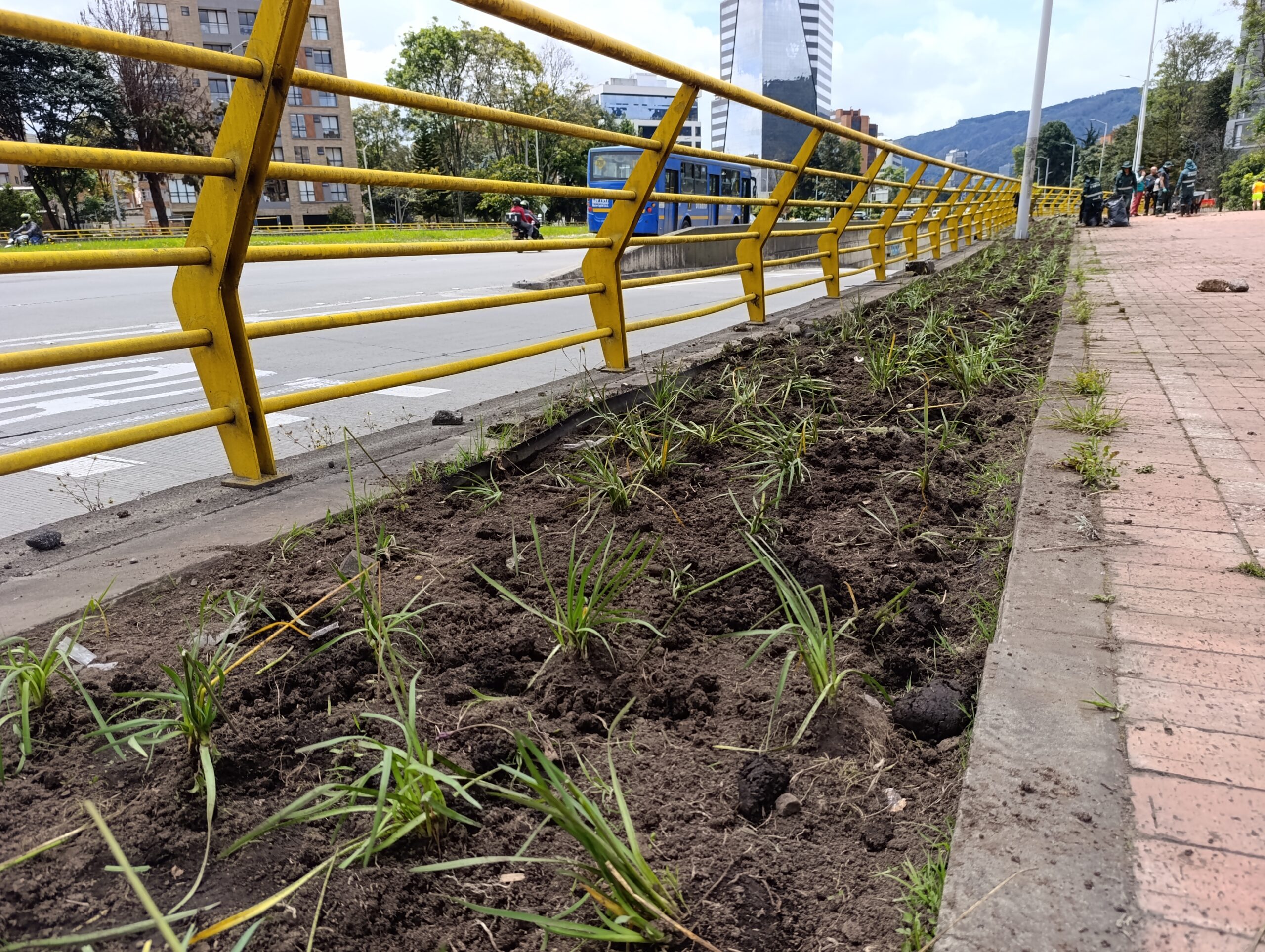 Historias del verde urbano: El rescate de la segunda jardinera más grande de Chapinero