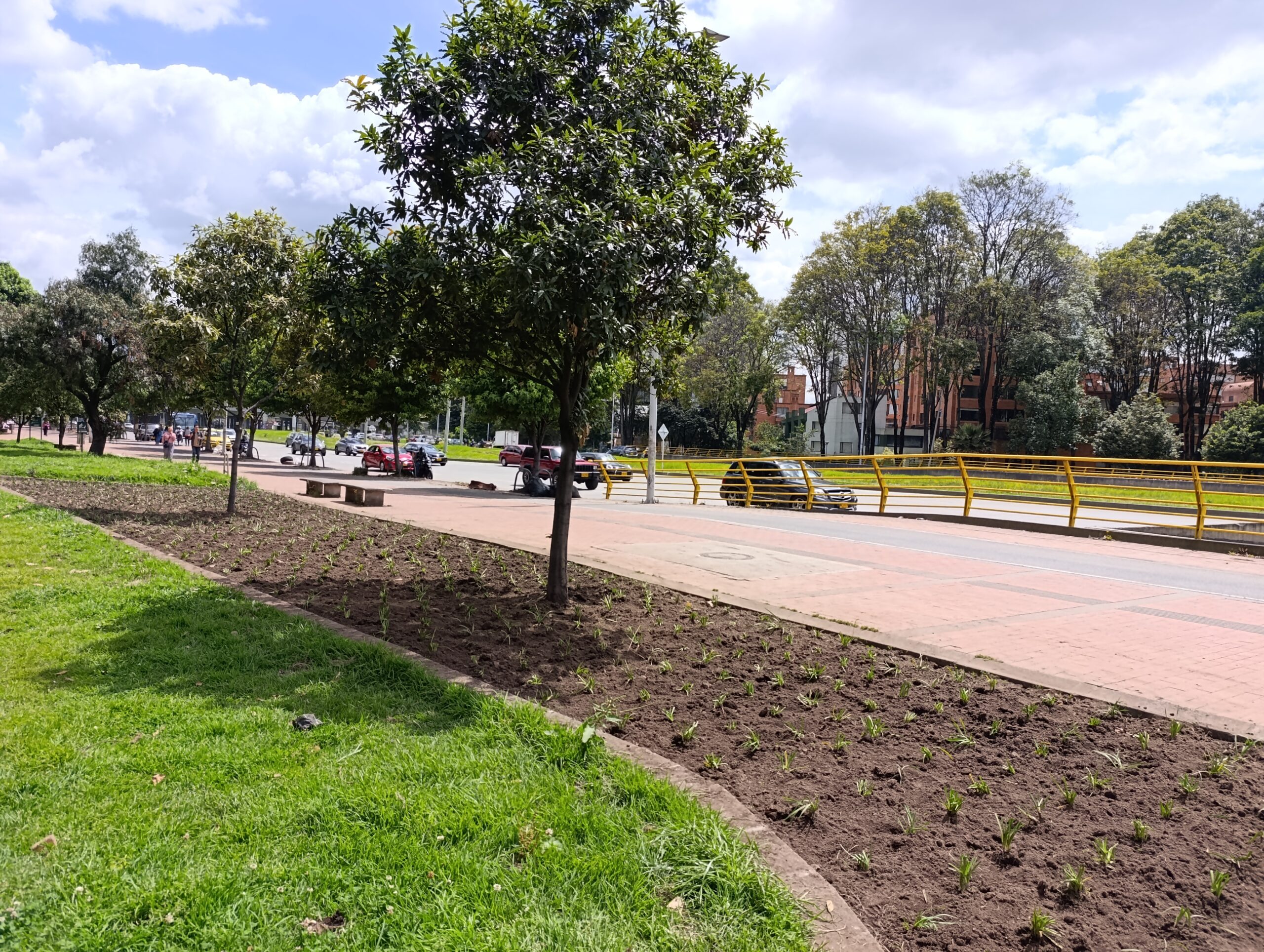 Historias del verde urbano: El rescate de la segunda jardinera más grande de Chapinero