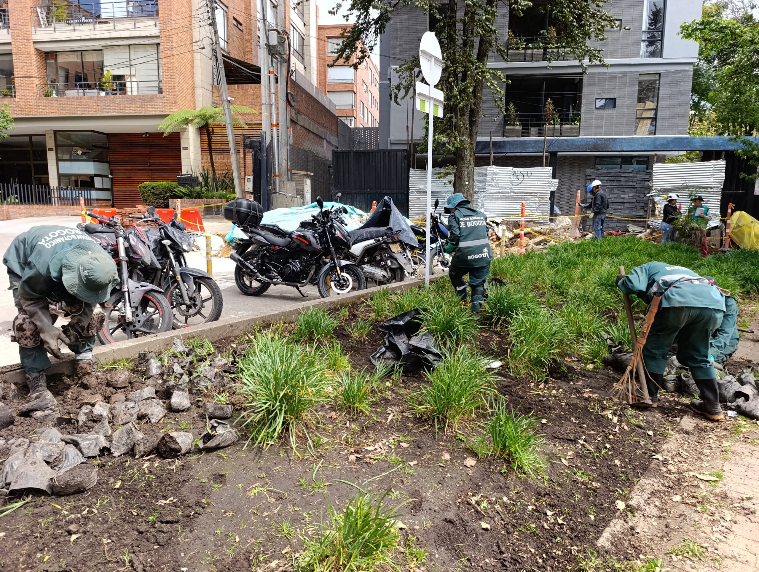 Historias del verde urbano: El rescate de la segunda jardinera más grande de Chapinero