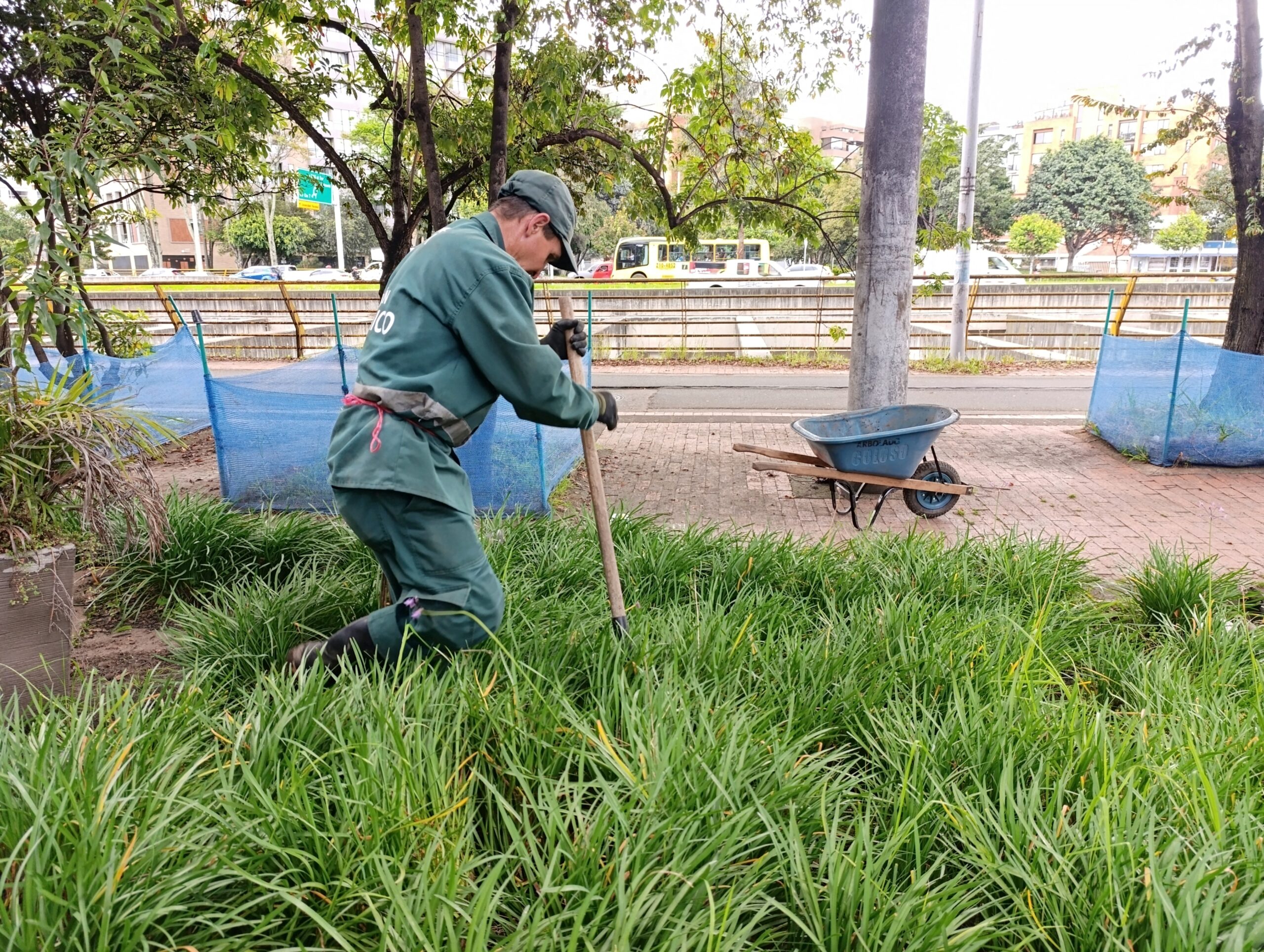 Historias del verde urbano: El rescate de la segunda jardinera más grande de Chapinero